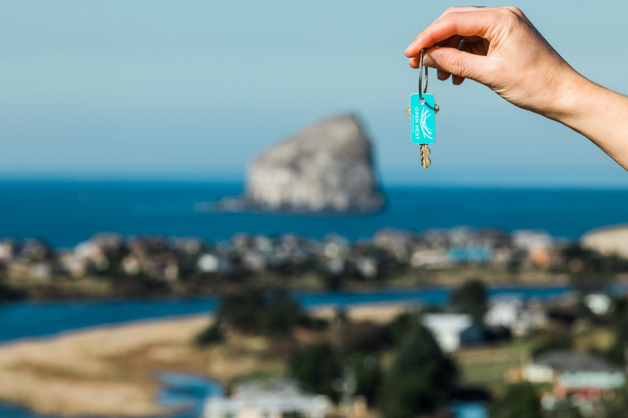 Open Nest Rentals // Branding & Collateral Design