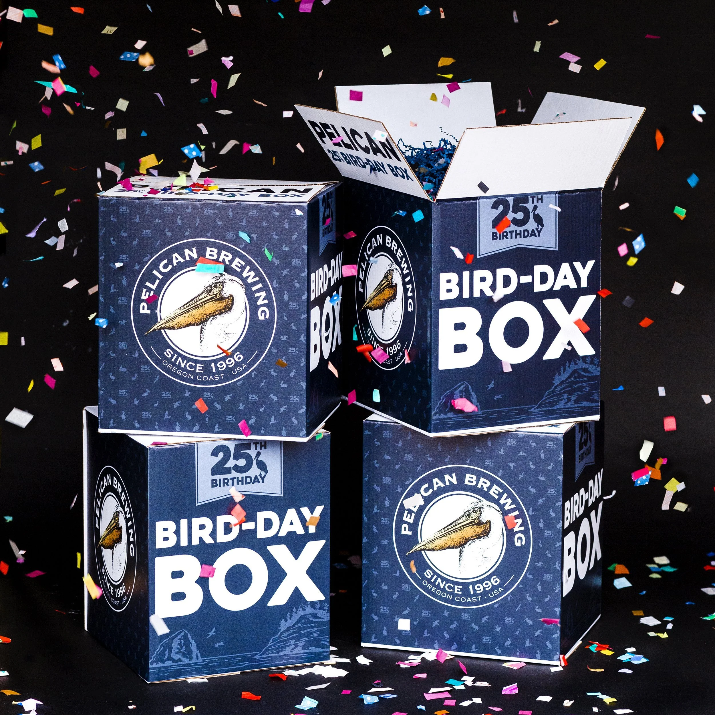 25th Bird-Day // Campaign Design