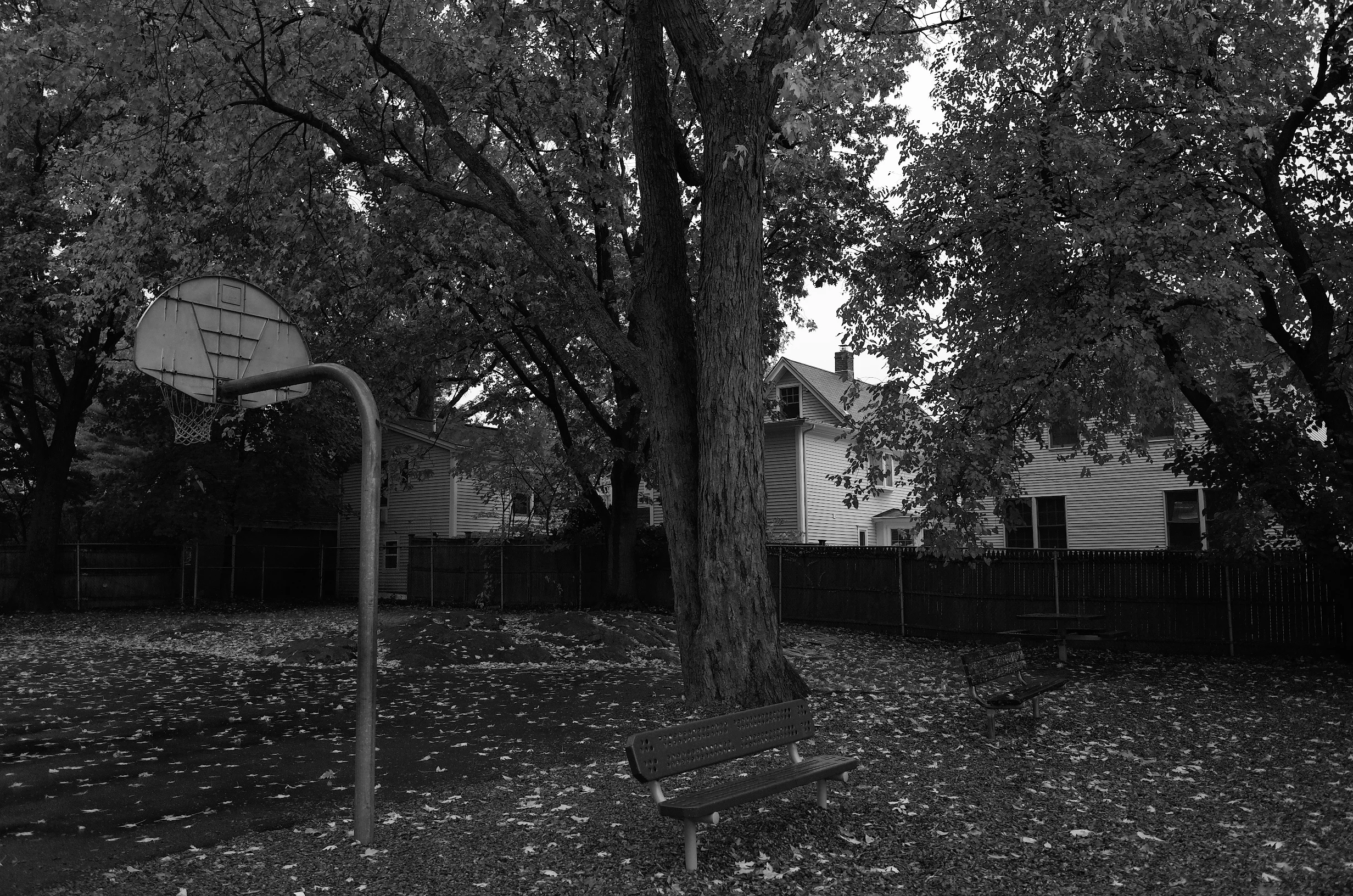 R0563856.jpg