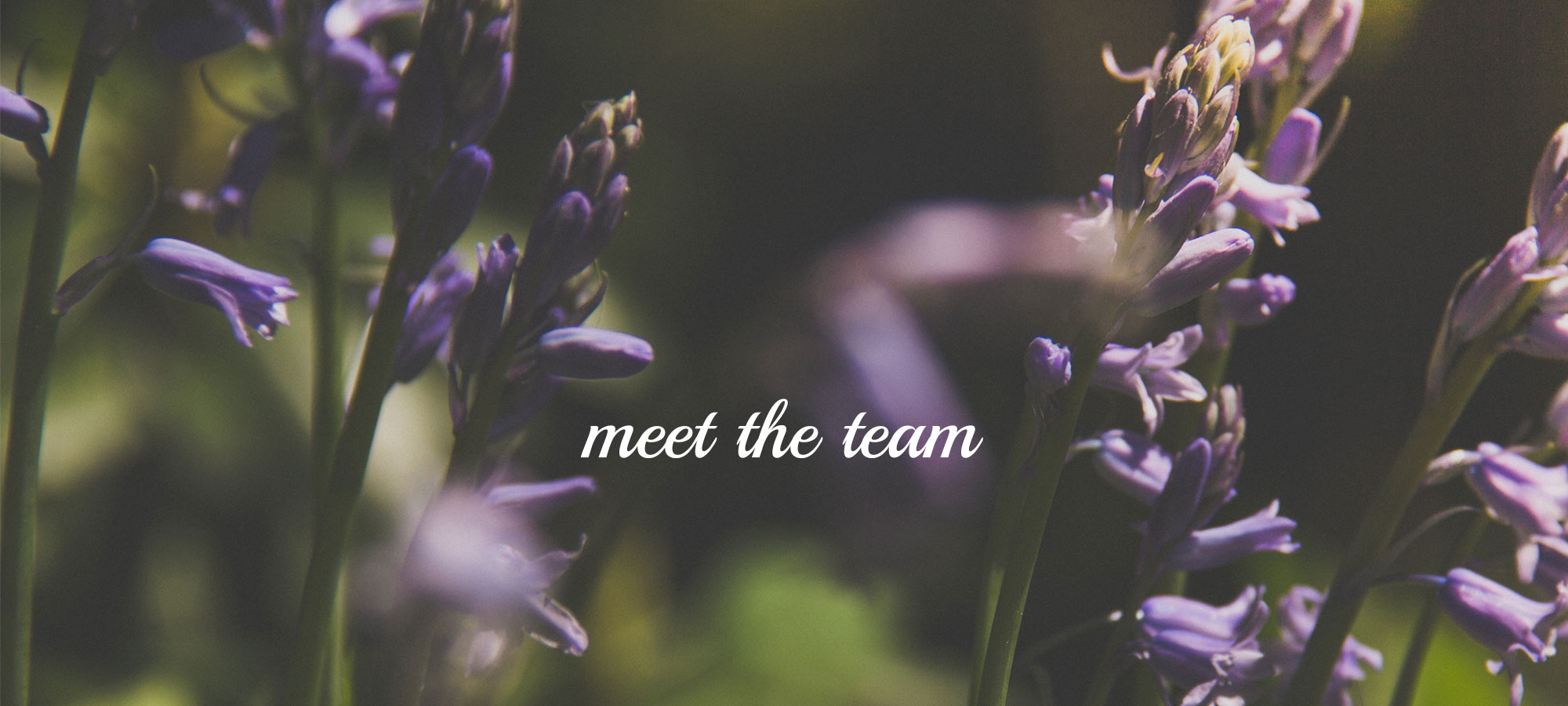 team.jpg