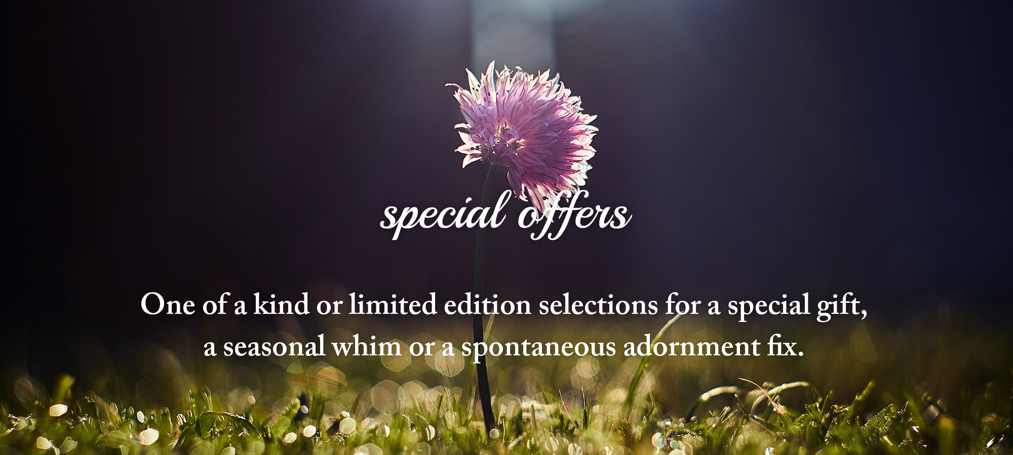 special-offers.jpg