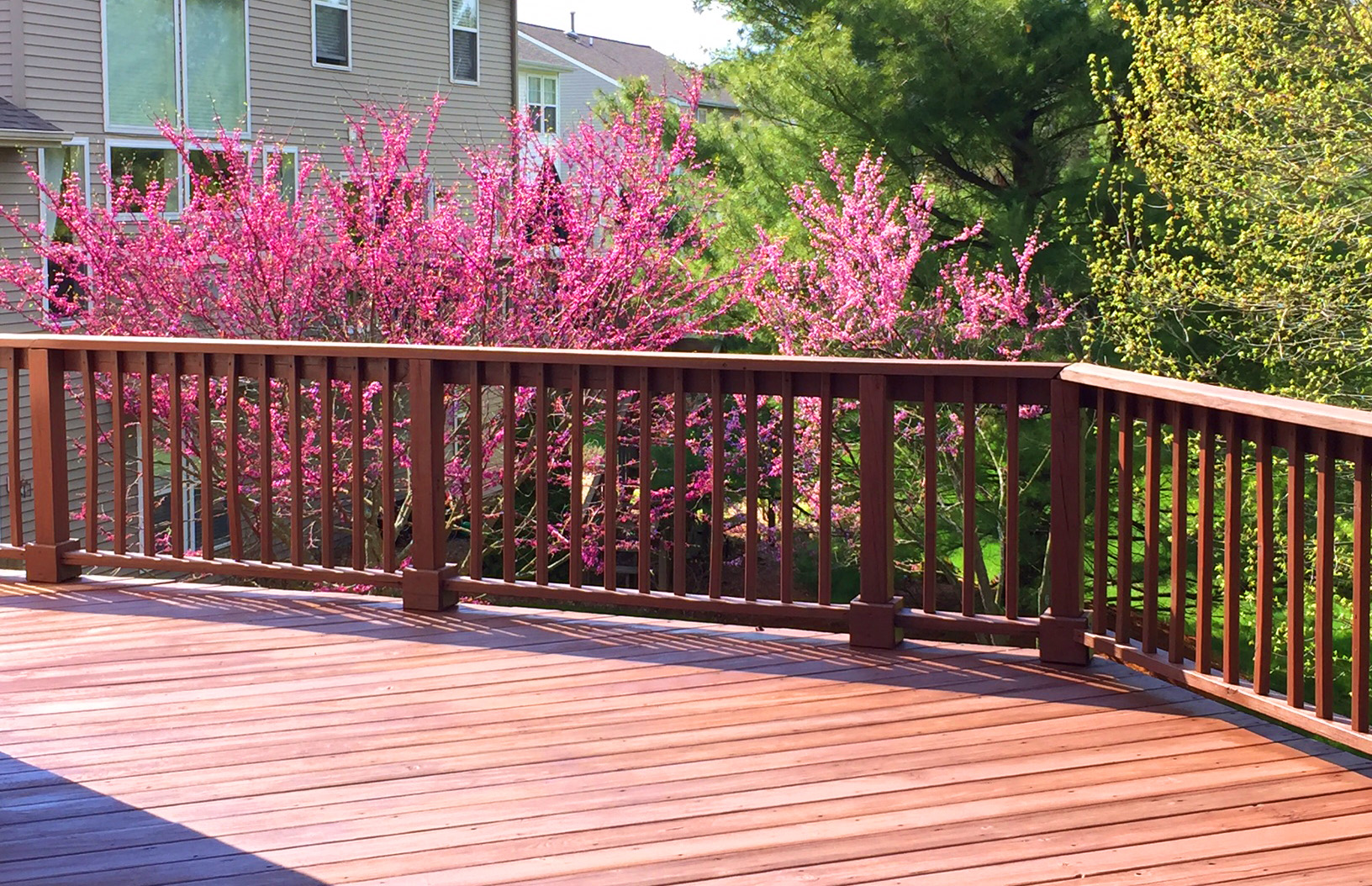 Onur deck and flowers.JPG