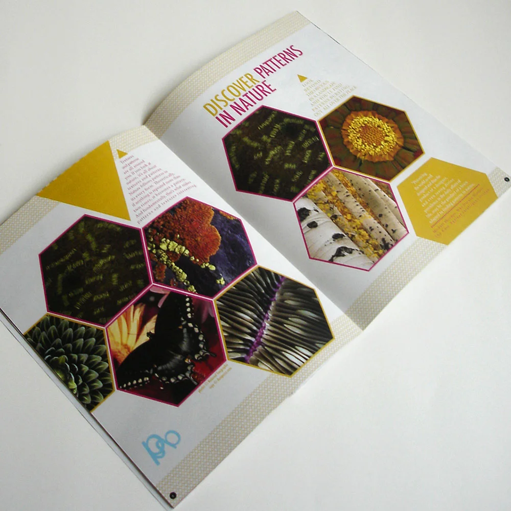 DISCOVER PATTERNS IN NATURE SPREAD