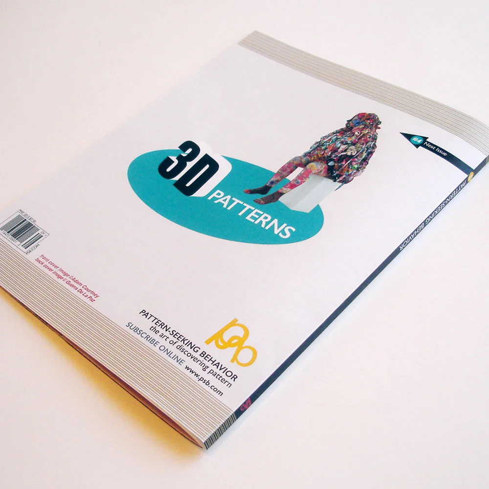 PATTERN SEEKING BEHAVIOR MAGAZINE BACK COVER