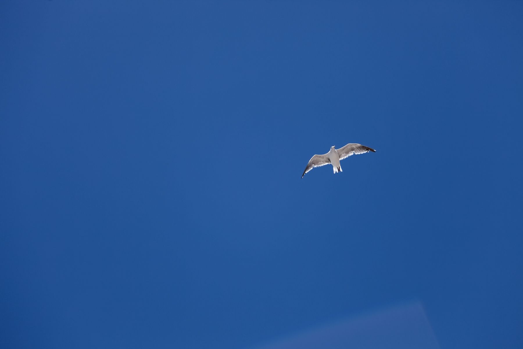 SquareSpace5.18.17-144.jpg