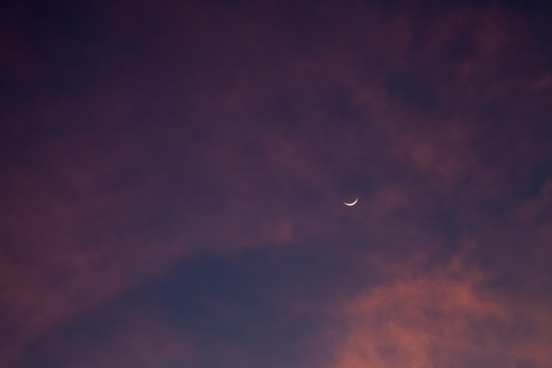 SquareSpace5.18.17-478.jpg