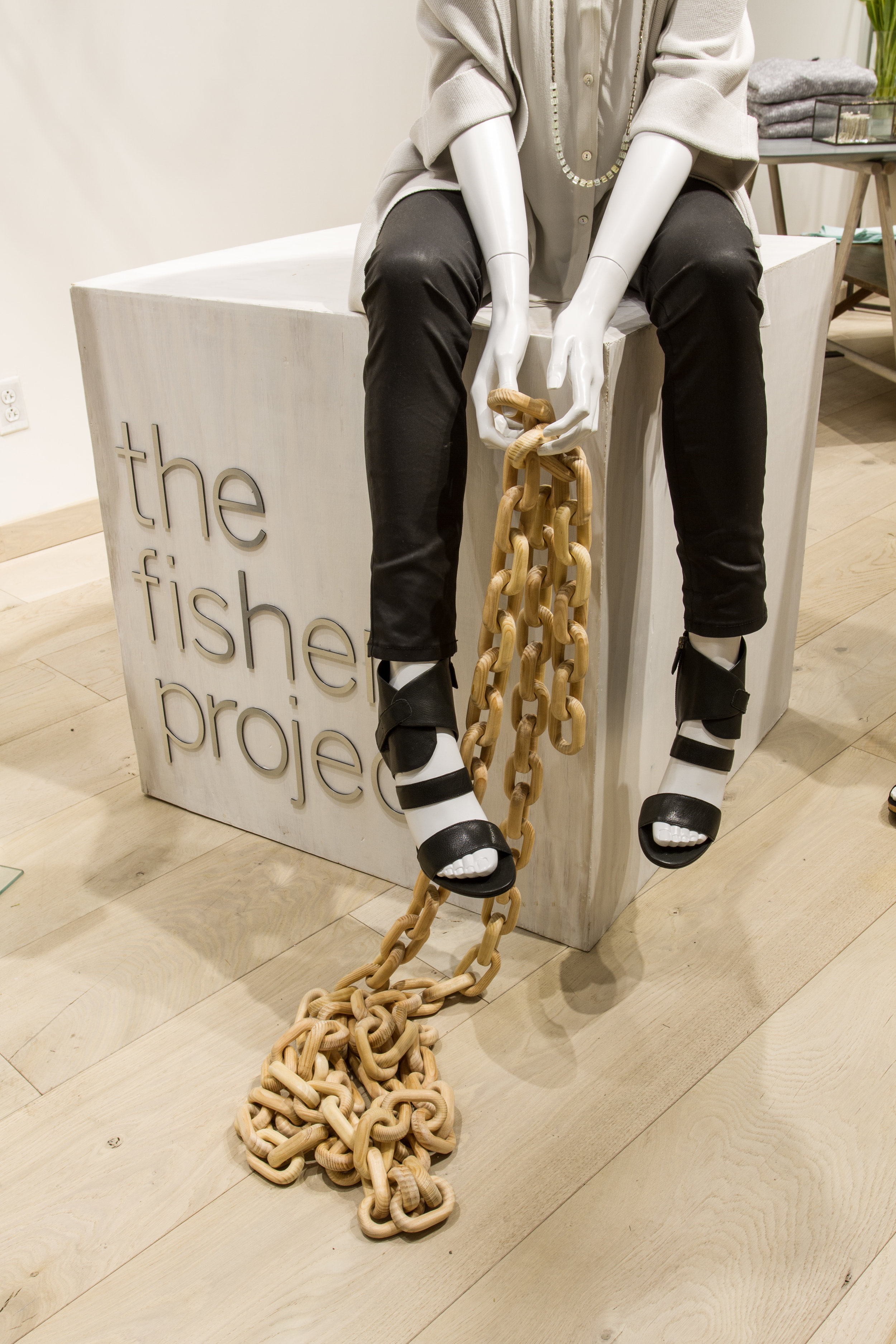 THE FISHER PROJECT