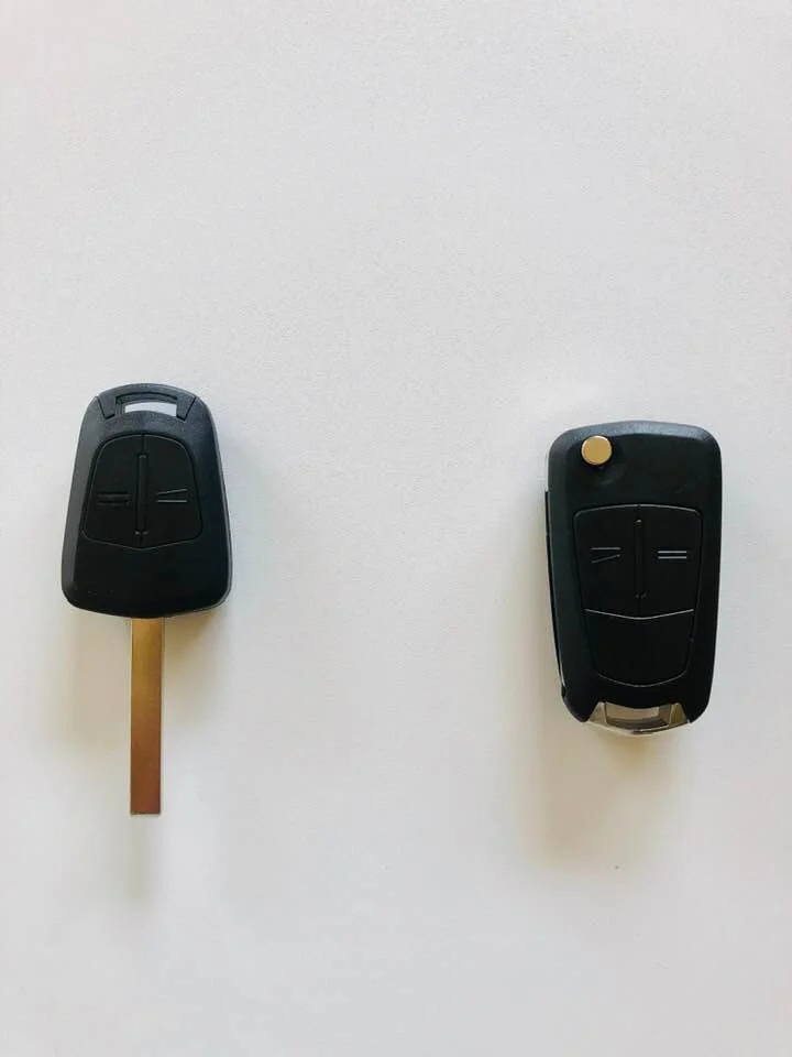 holden epica template.jpg