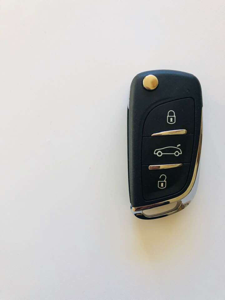 citroen : peugeot template.jpg