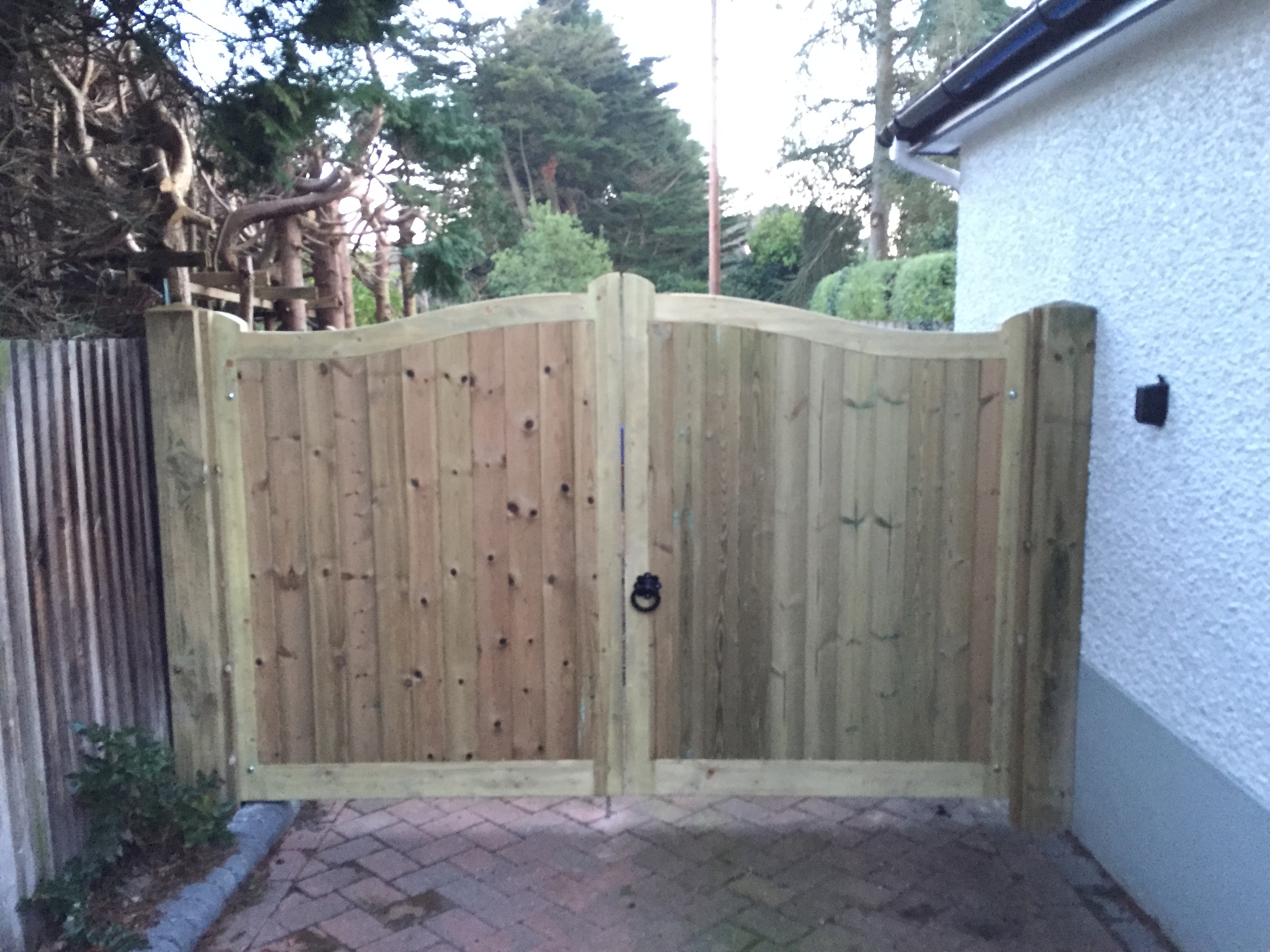 Chelsea Gates in softwood