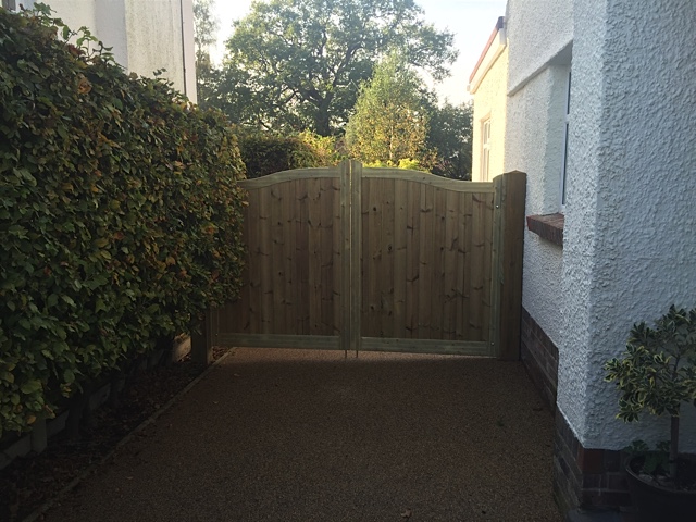 Chelsea Gates in Softwood