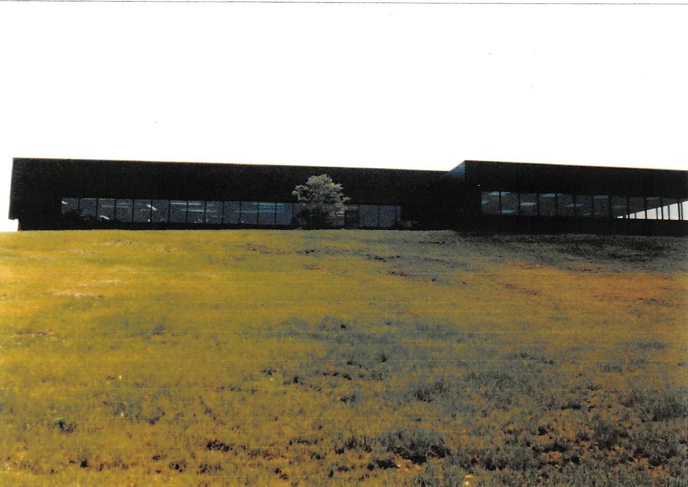 Mont1a.jpg