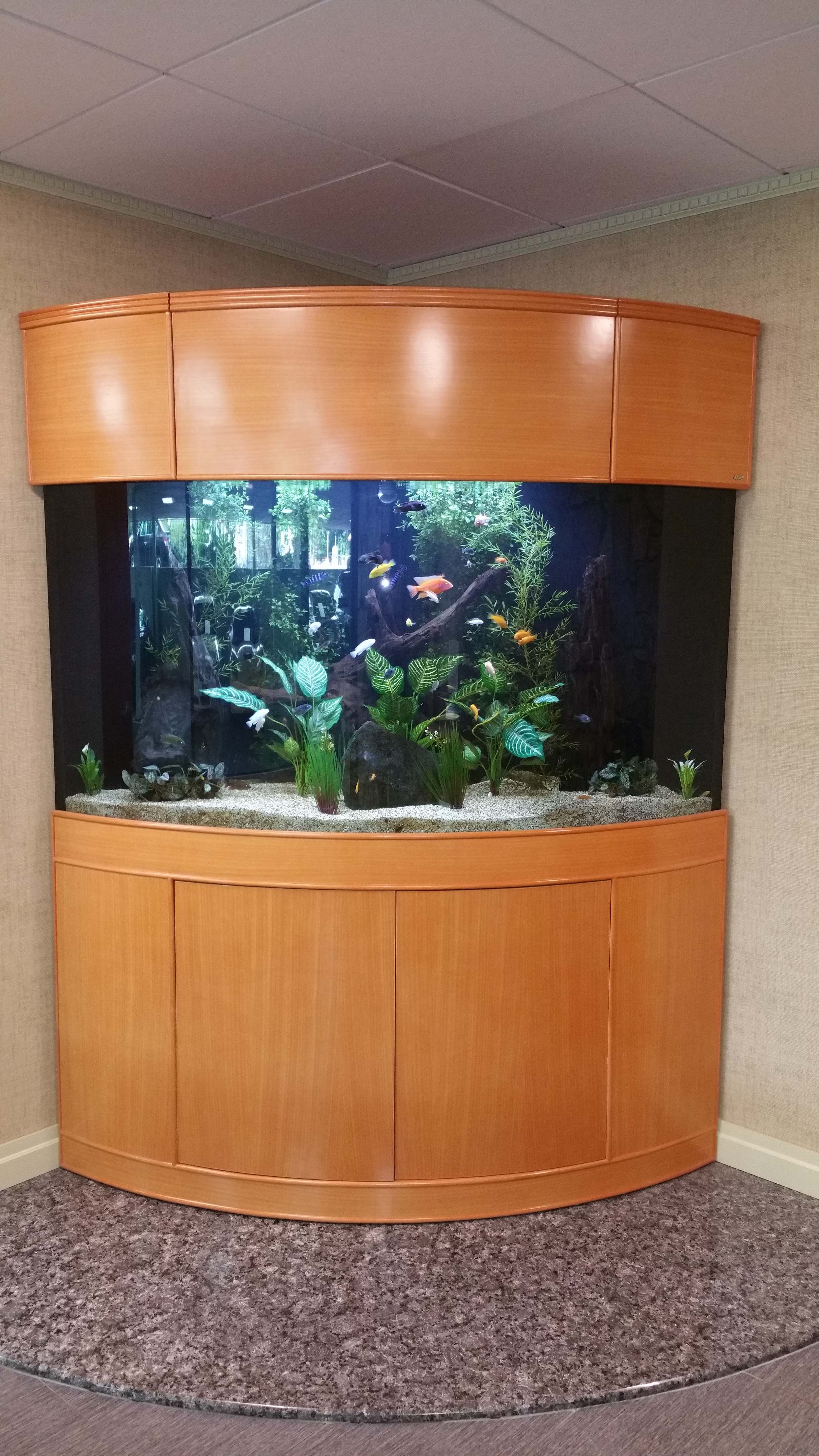 20150515_093817.jpg