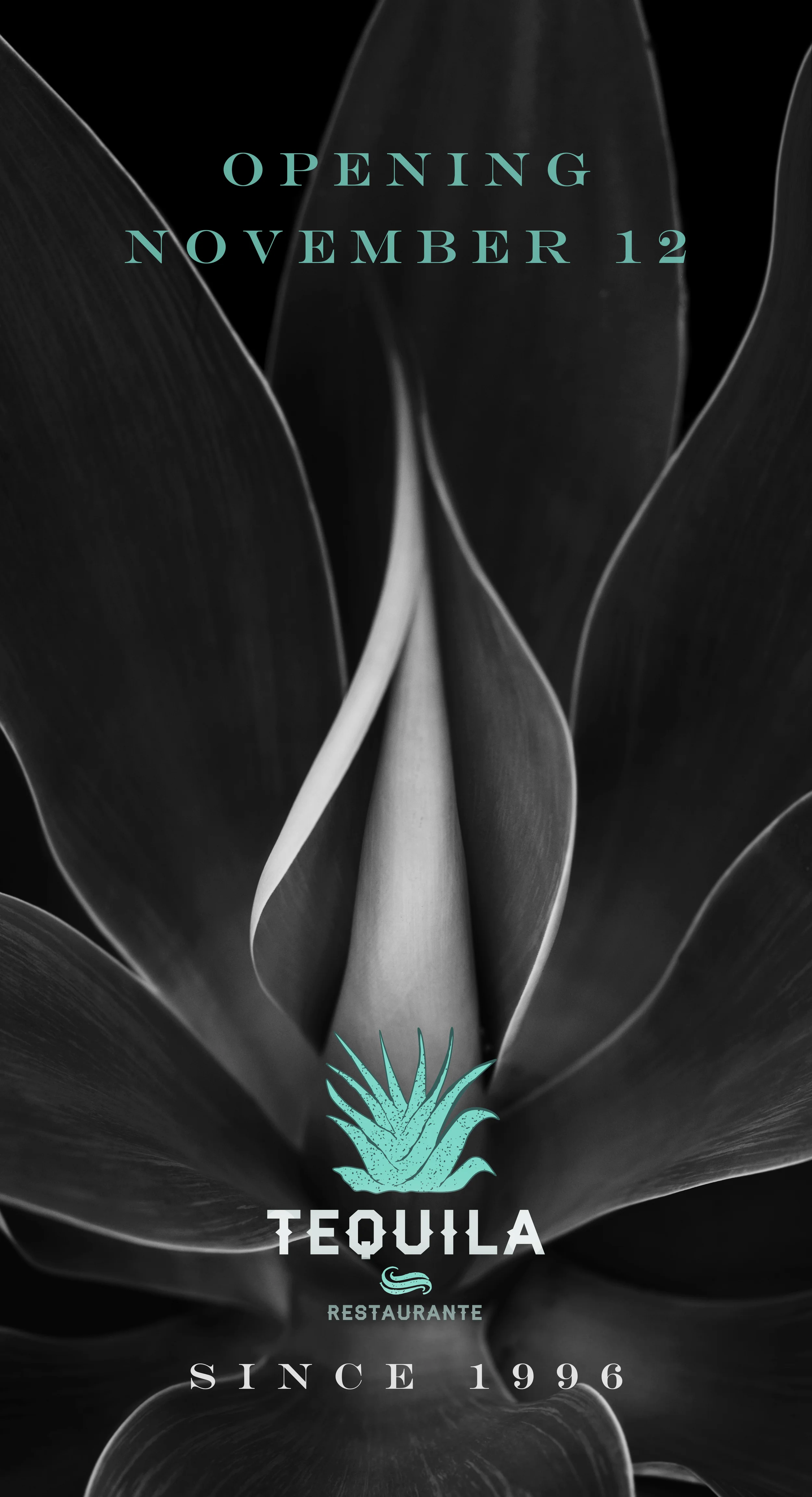 Tequila Reopening Ad 1.jpg