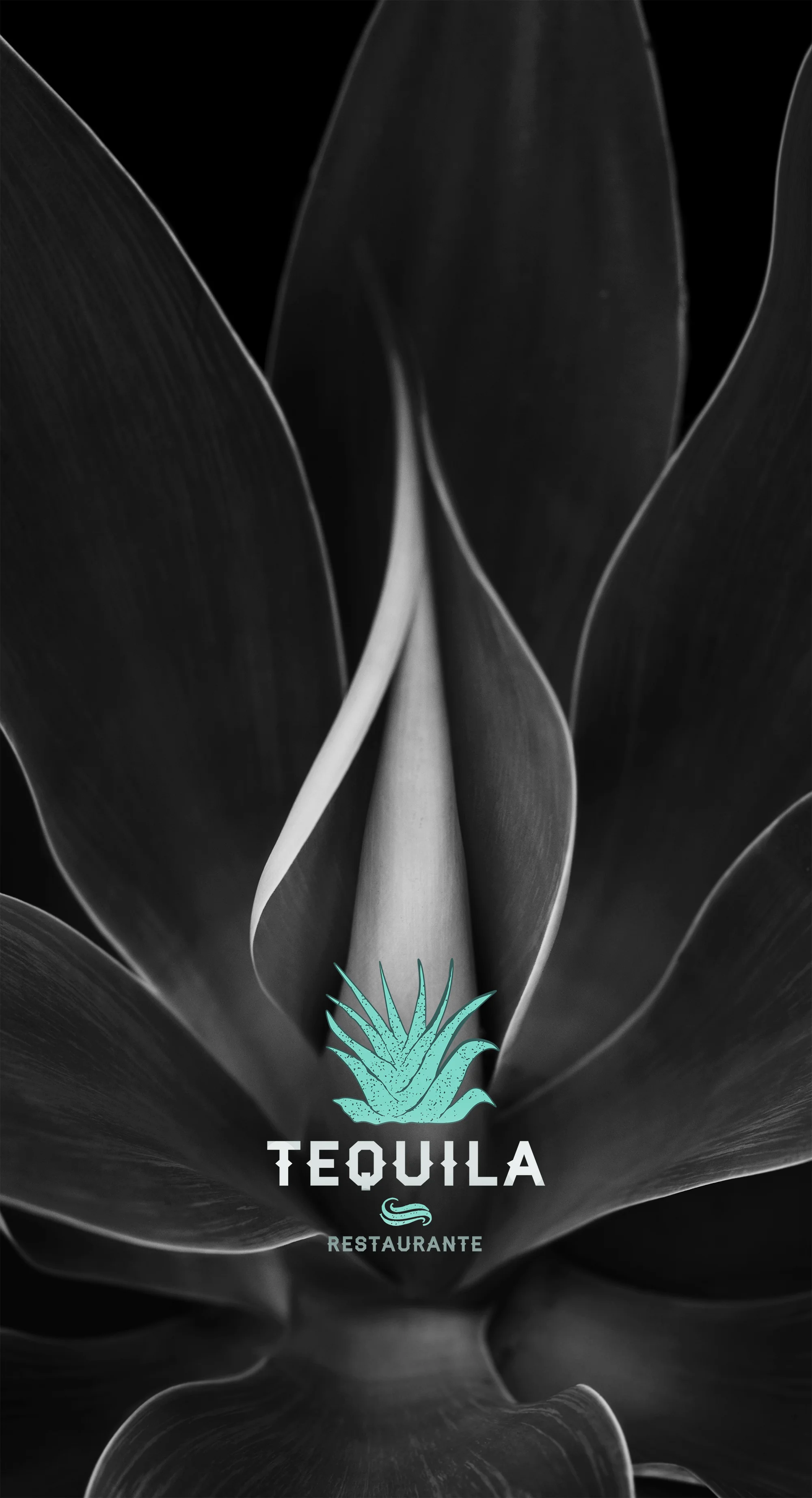 Tequila Reopening ZP.jpg