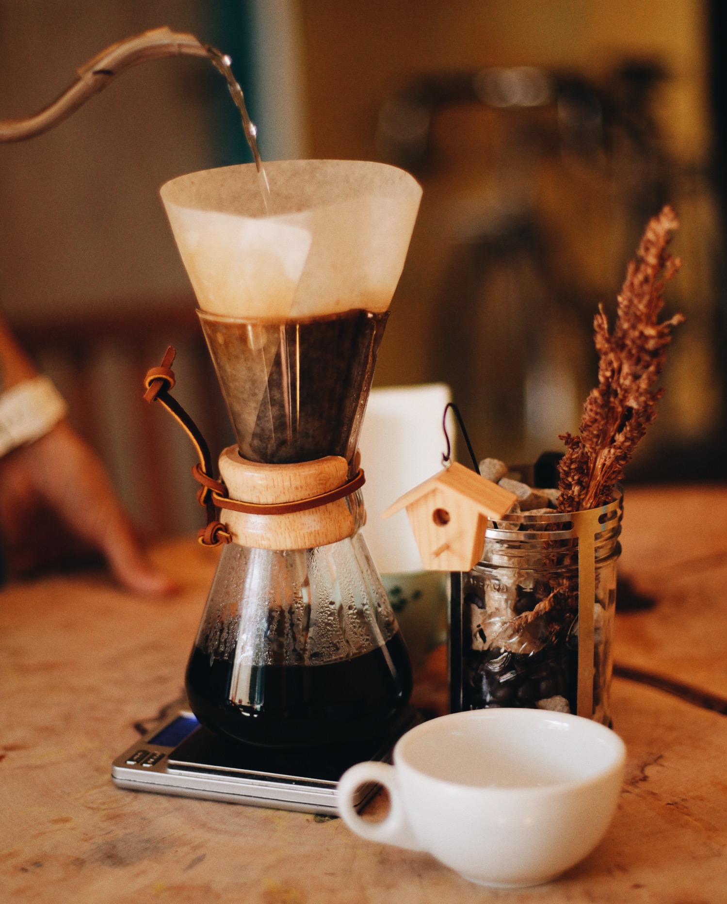 Photo 10-14-15, 11 53 55 AM.jpg