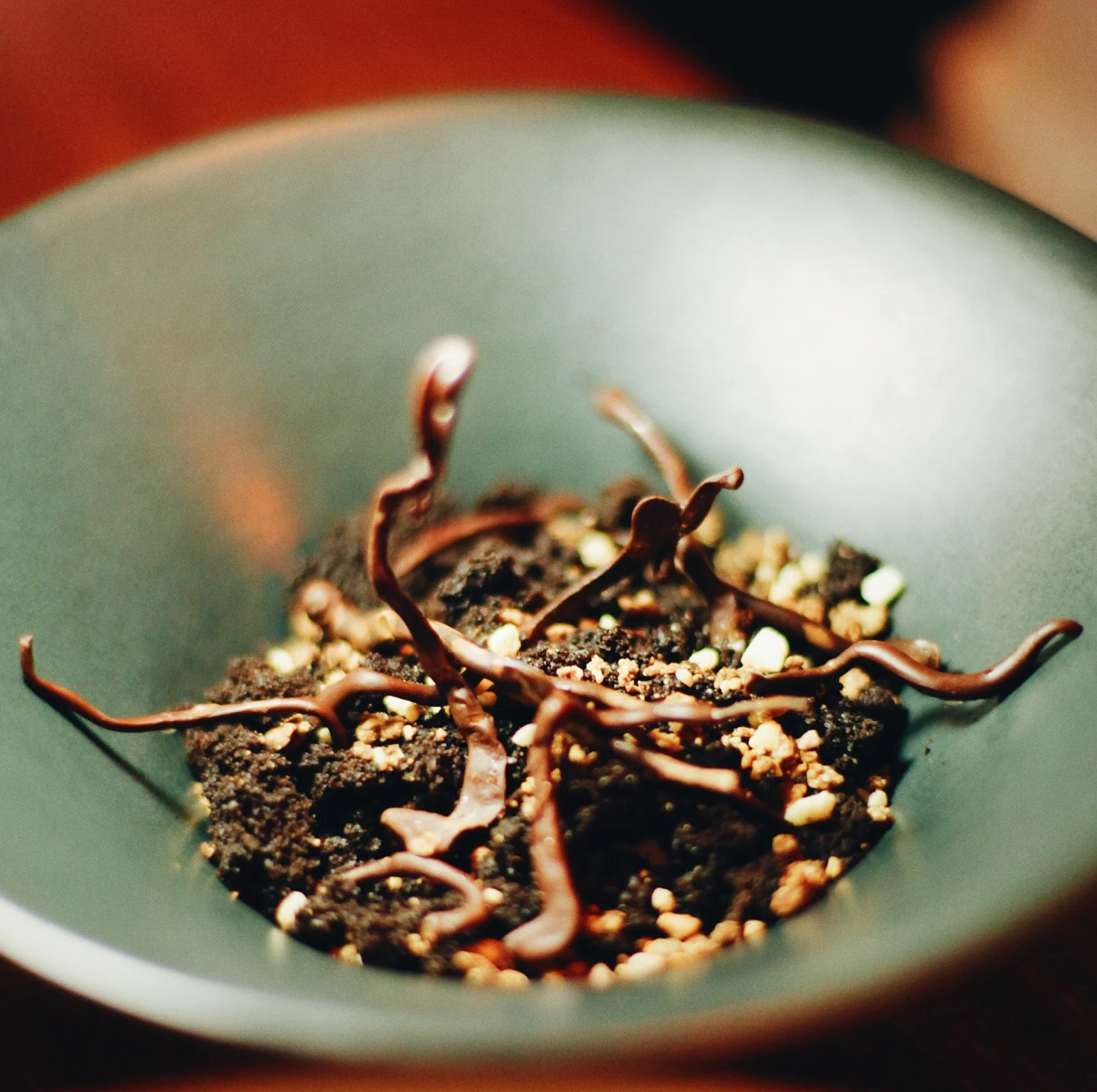 Photo 10-19-15, 10 46 19 PM.jpg