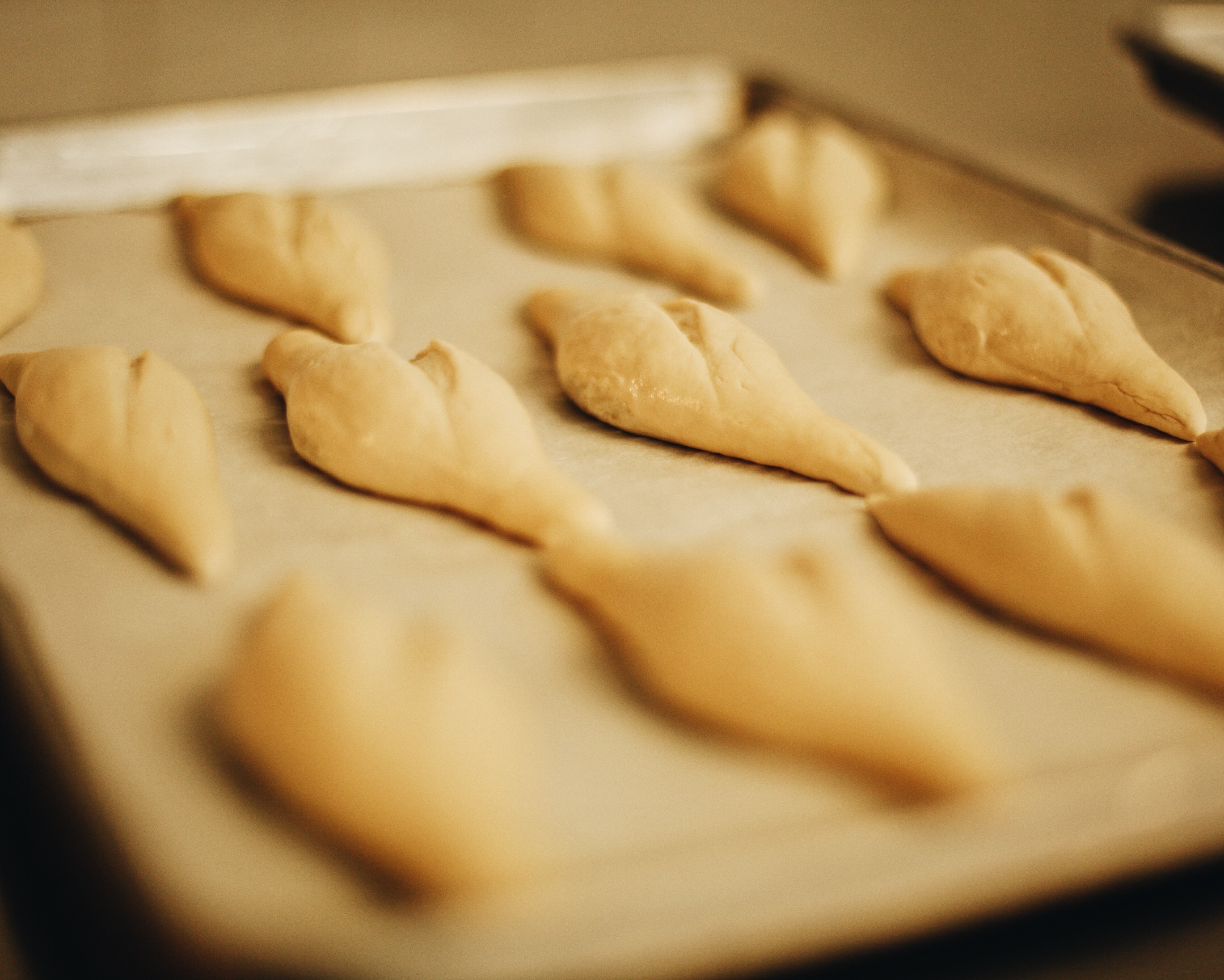 Photo 10-26-15, 1 17 30 PM.jpg