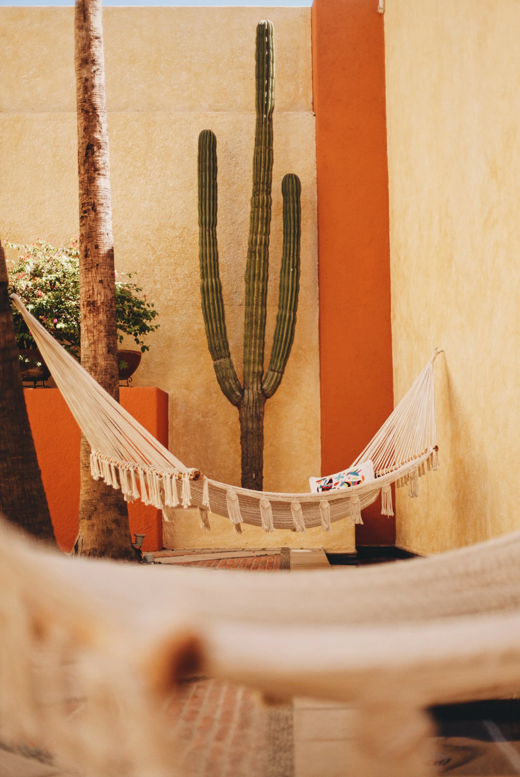 Photo 10-26-15, 1 48 40 PM.jpg