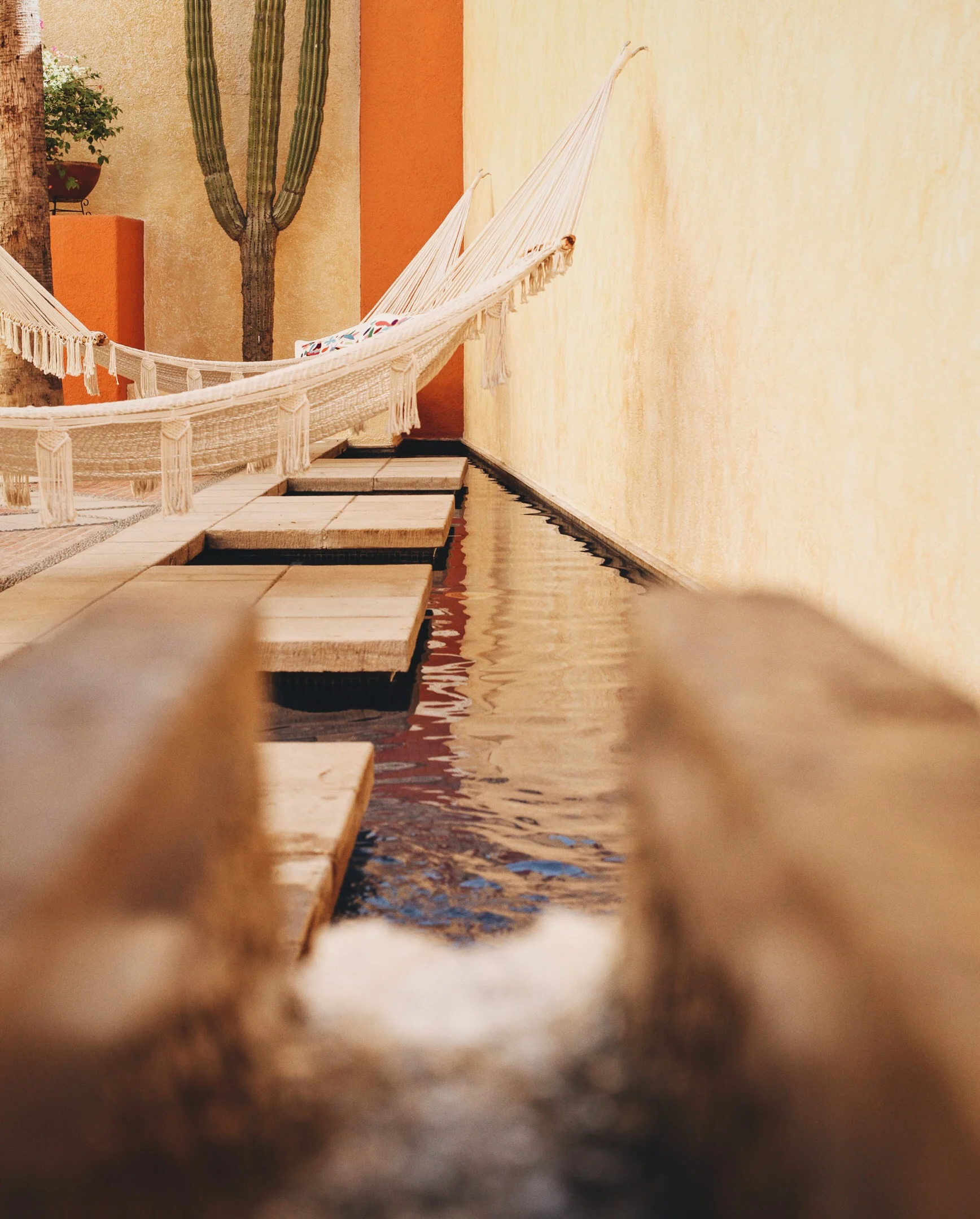 Photo 10-26-15, 1 57 18 PM.jpg