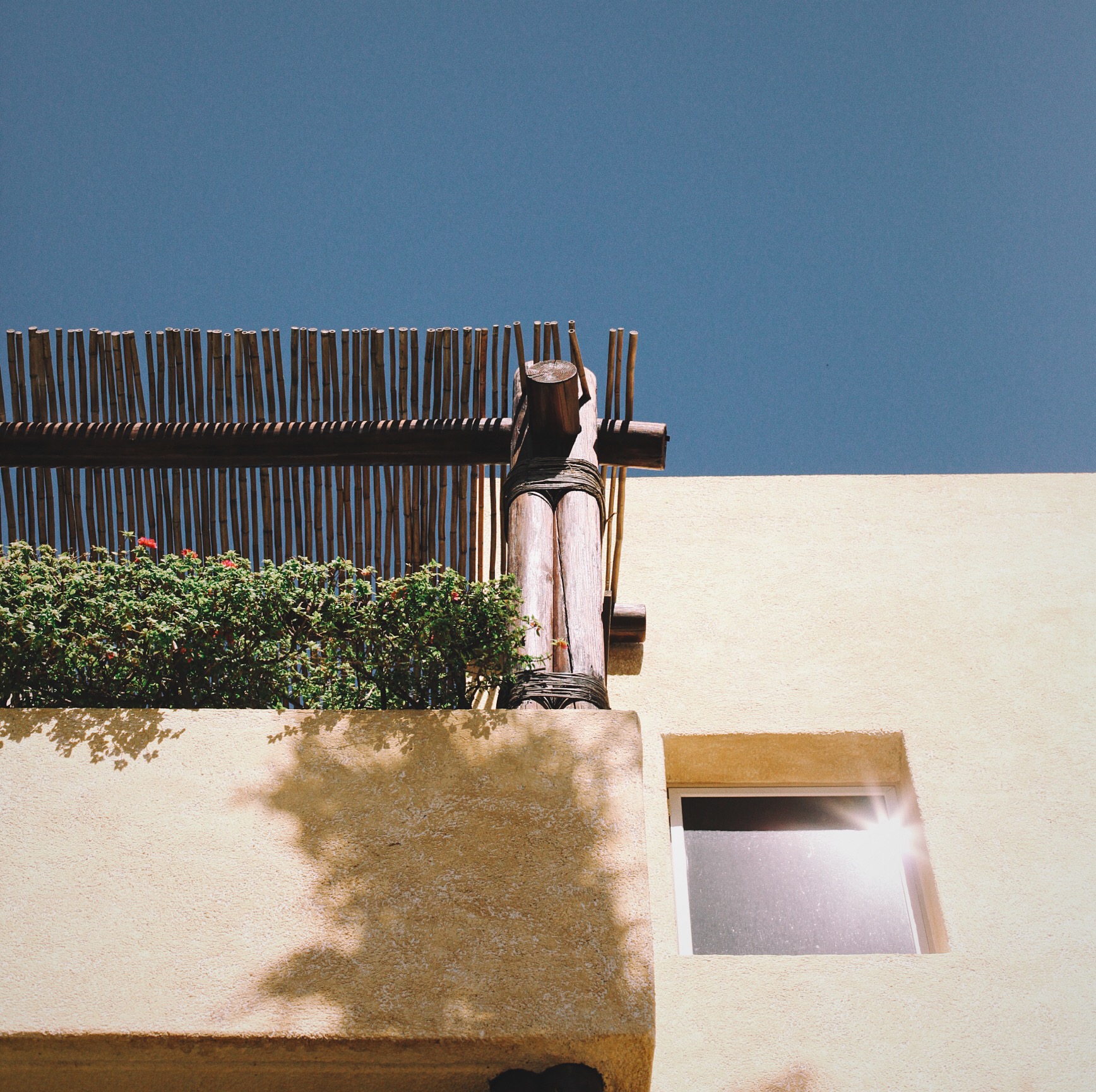 Photo 10-26-15, 2 00 23 PM.jpg