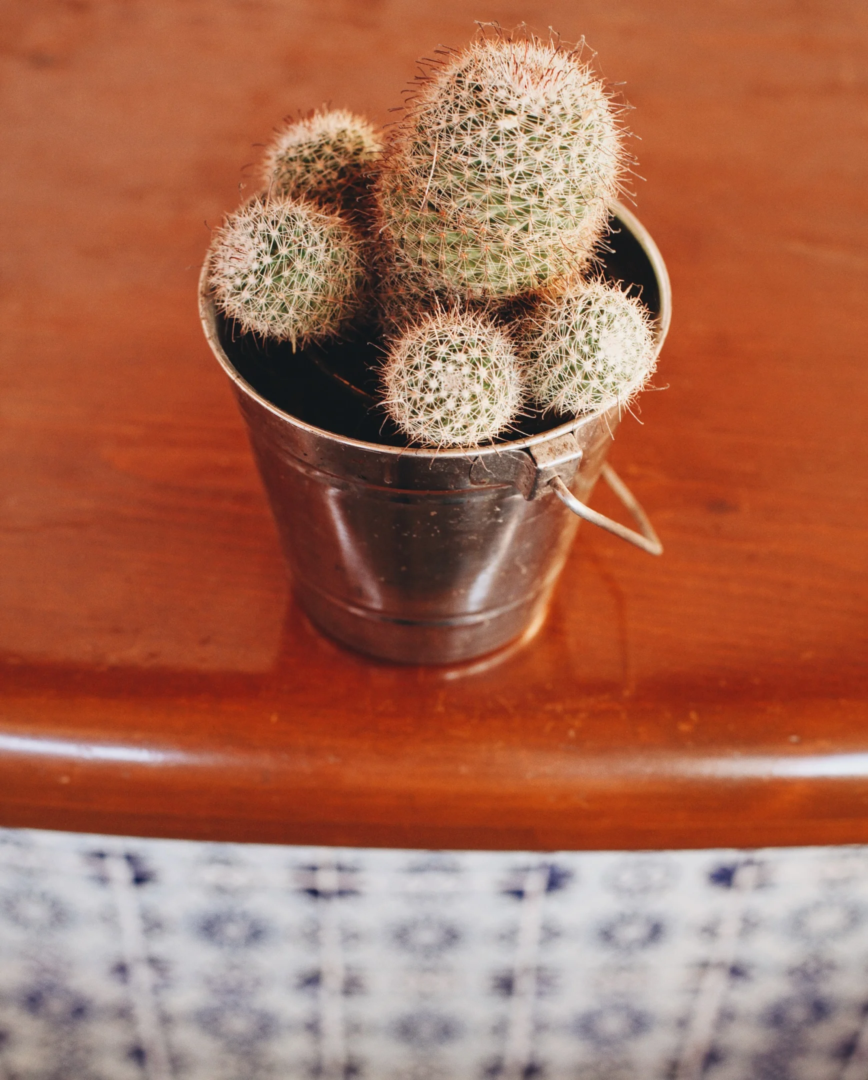 Photo 10-26-15, 2 34 32 PM.jpg