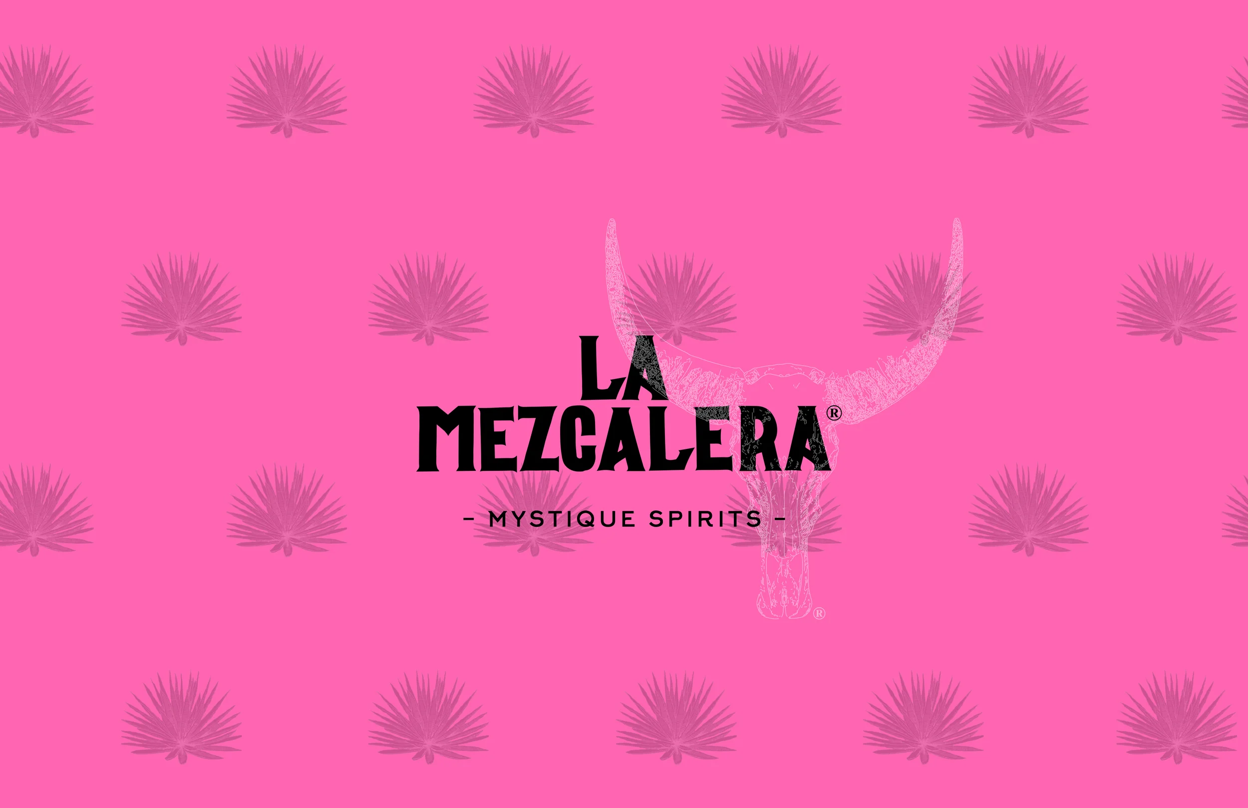 La Mezcalera 1.jpg