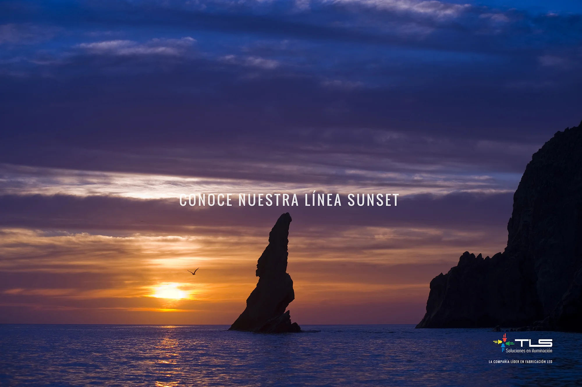 TLS Poster 3port.jpg