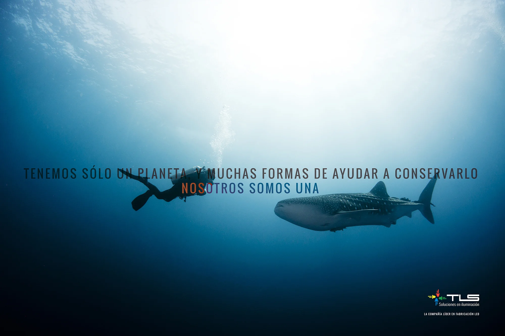 TLS Poster 1port.jpg