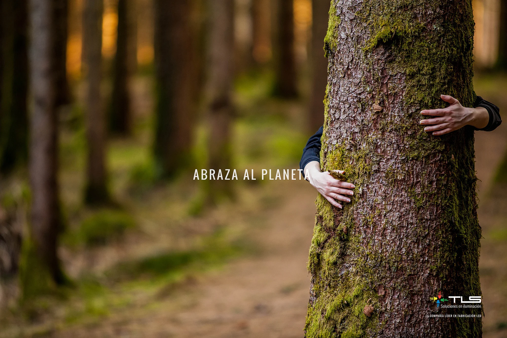 TLS Poster 4port.jpg