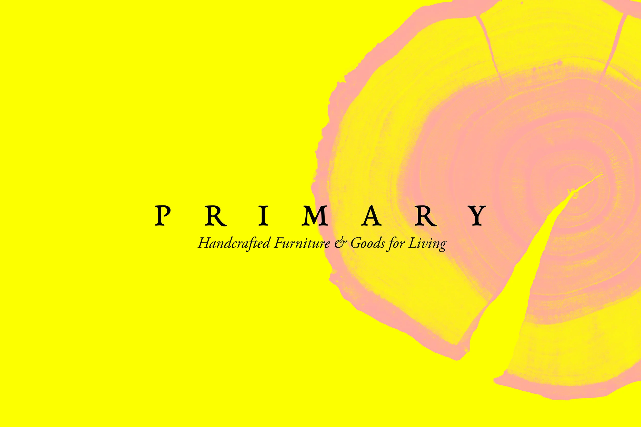 Primary Brand Exploration.jpg