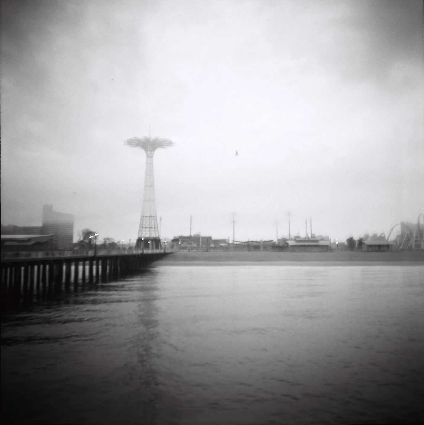 UNTITLED