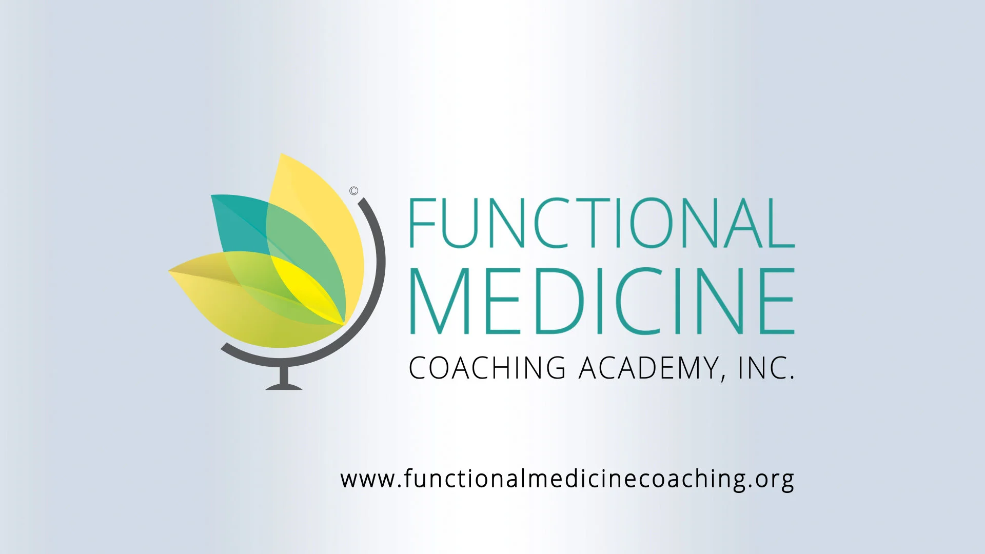 FMCA-SOLO-logo dk2.jpg