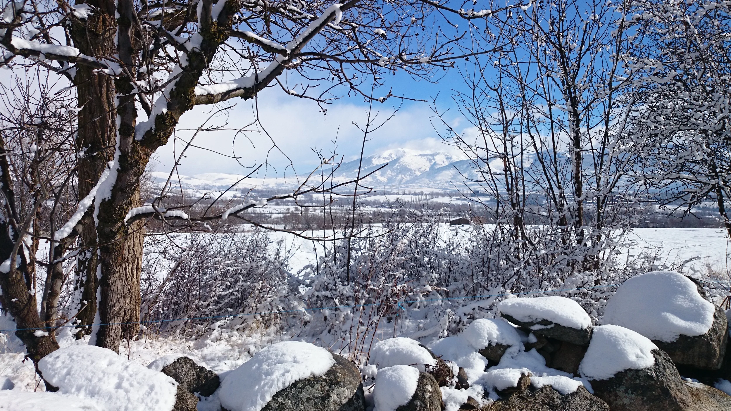 DSC_0629.JPG