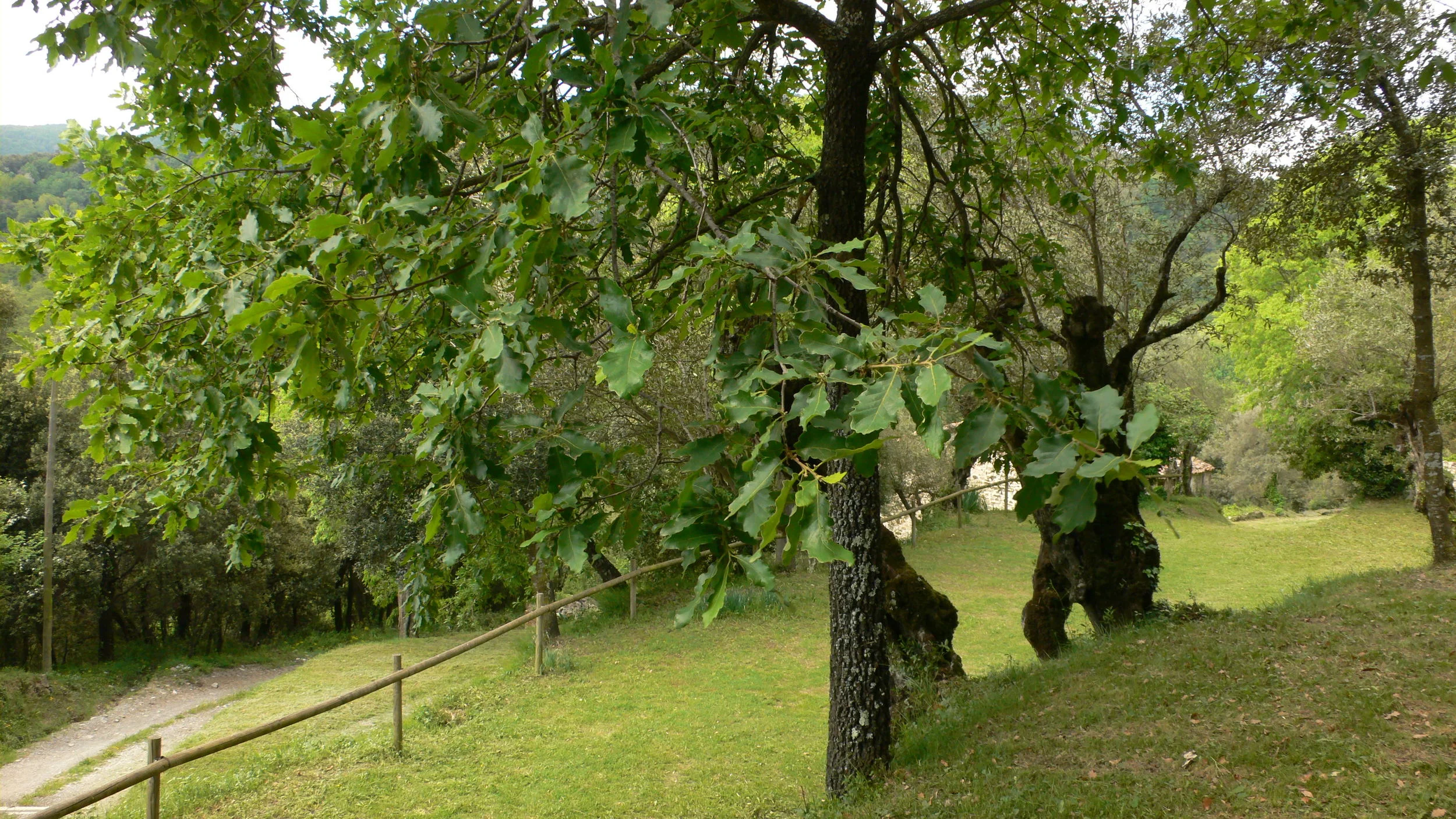 L1240430.JPG