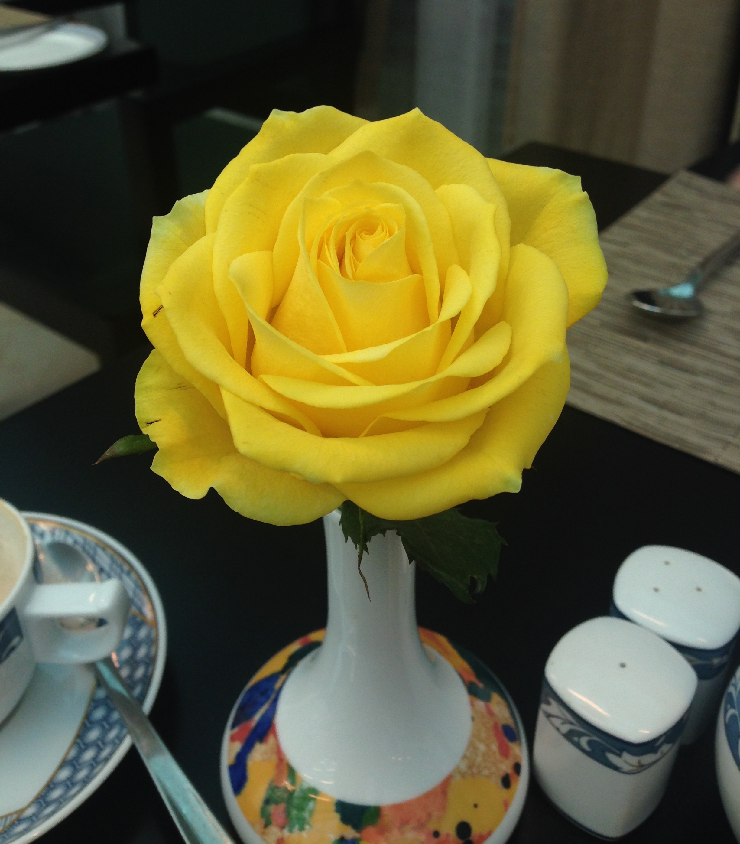 ^ The lovely yellow rose on our table in the breakfast lounge. Just like the roses we gave to Mum & Dad!