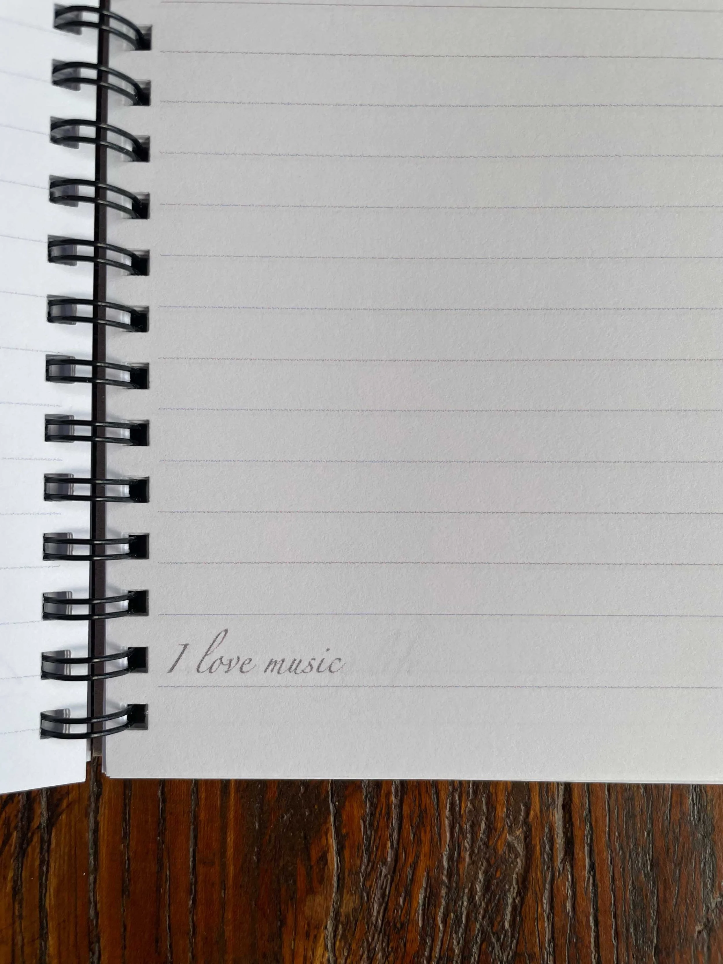 Notebook_Music 3.jpg