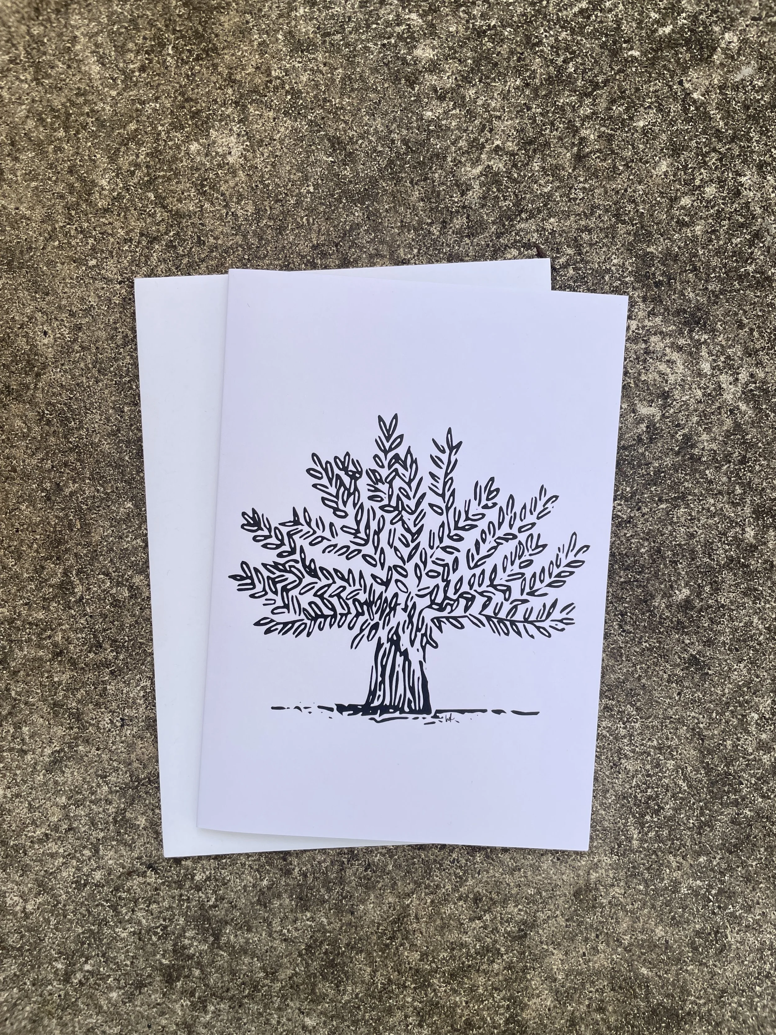 'Olive Tree' Greeting Card