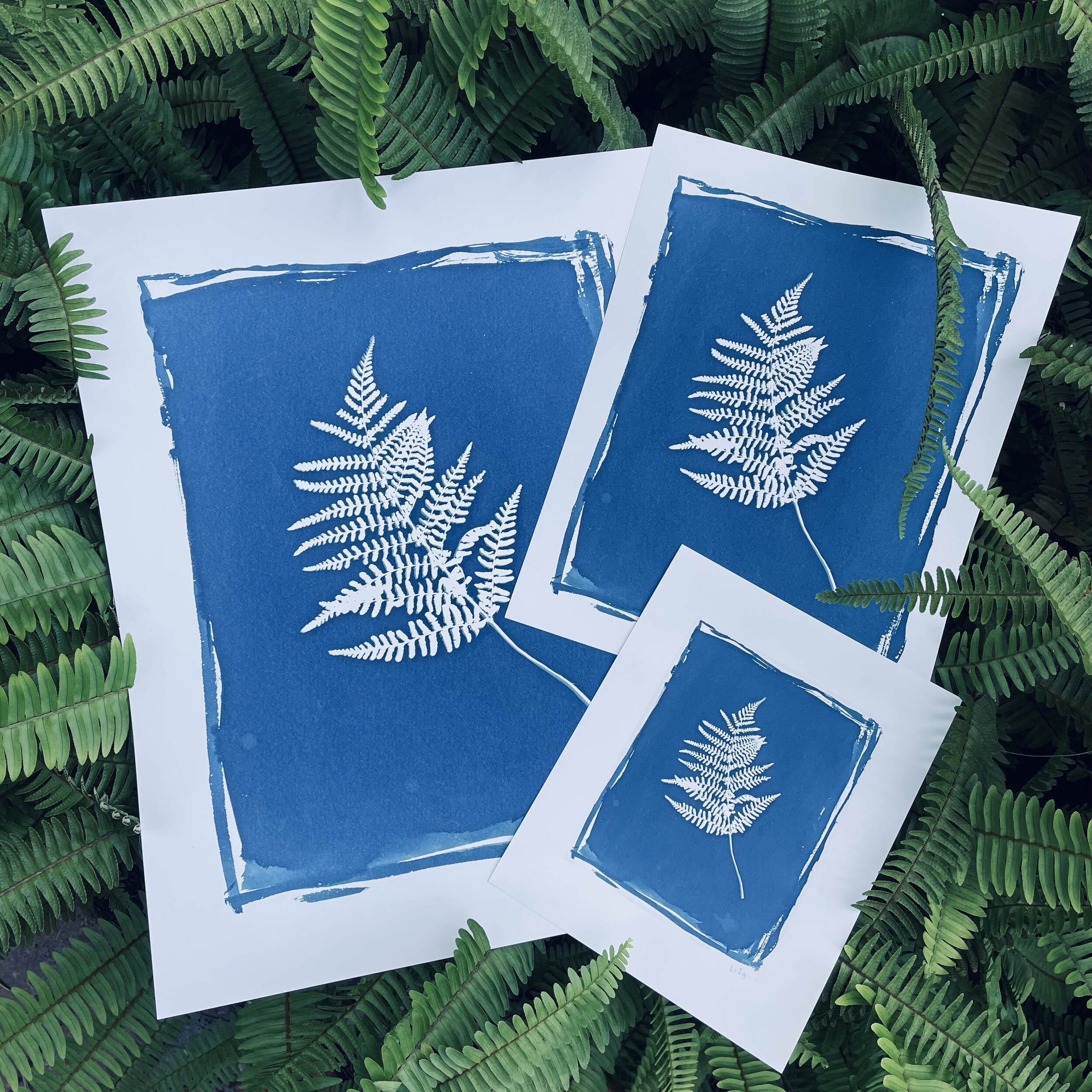 Botanical Giclee 3:C all 3.JPG