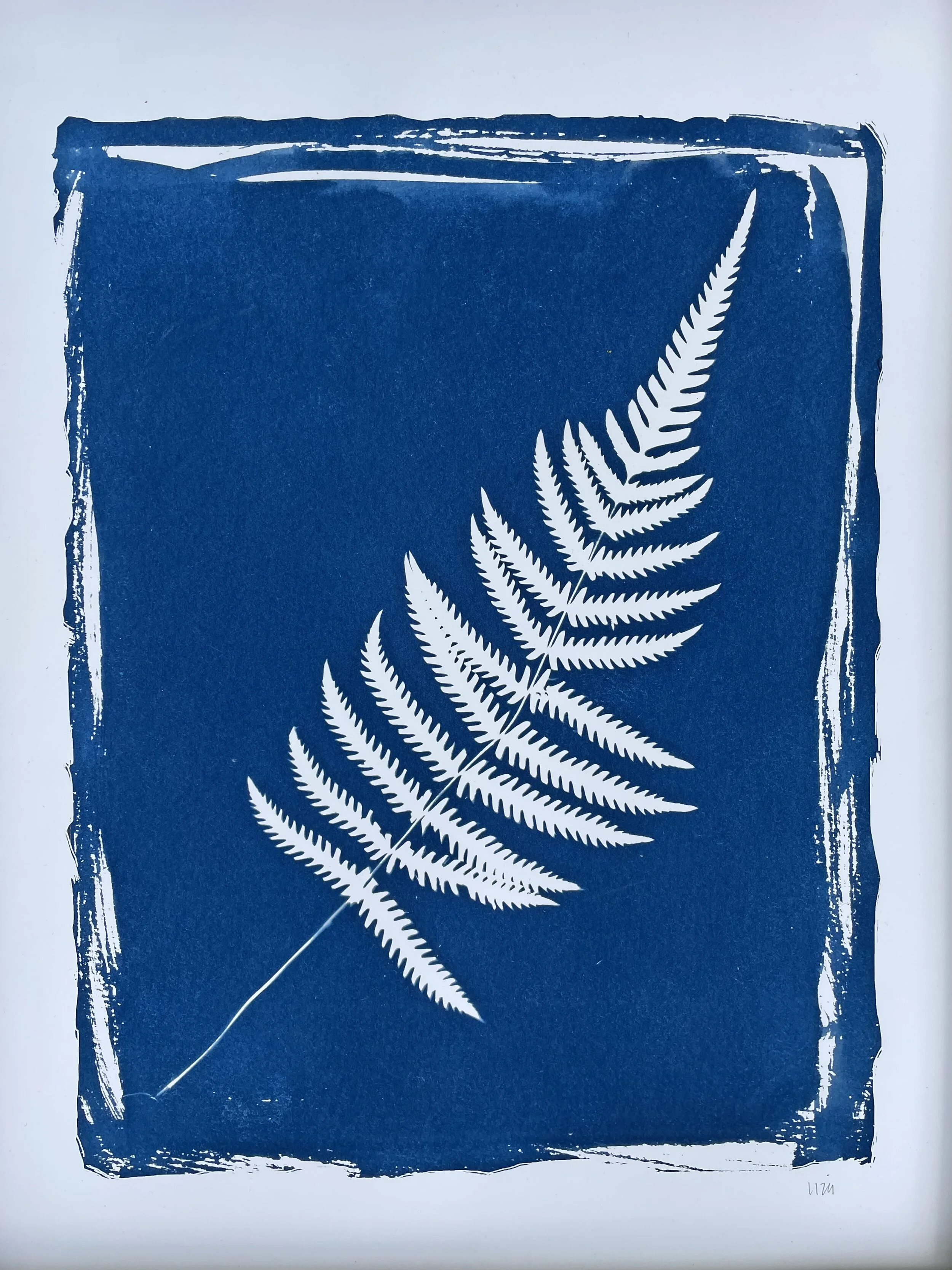 Botanical Giclee 4:D whole.JPG