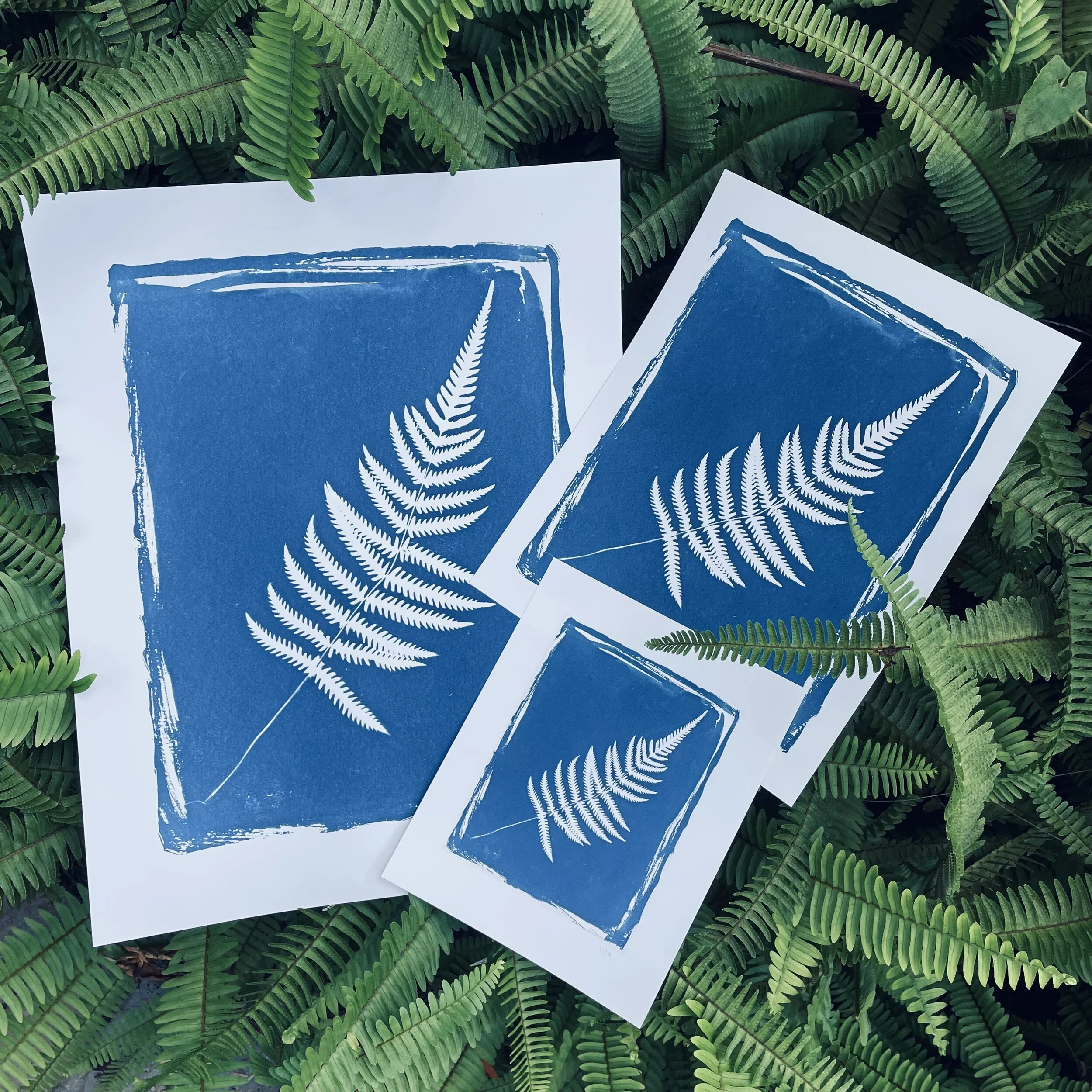 Botanical Giclee 4:D all 3.JPG