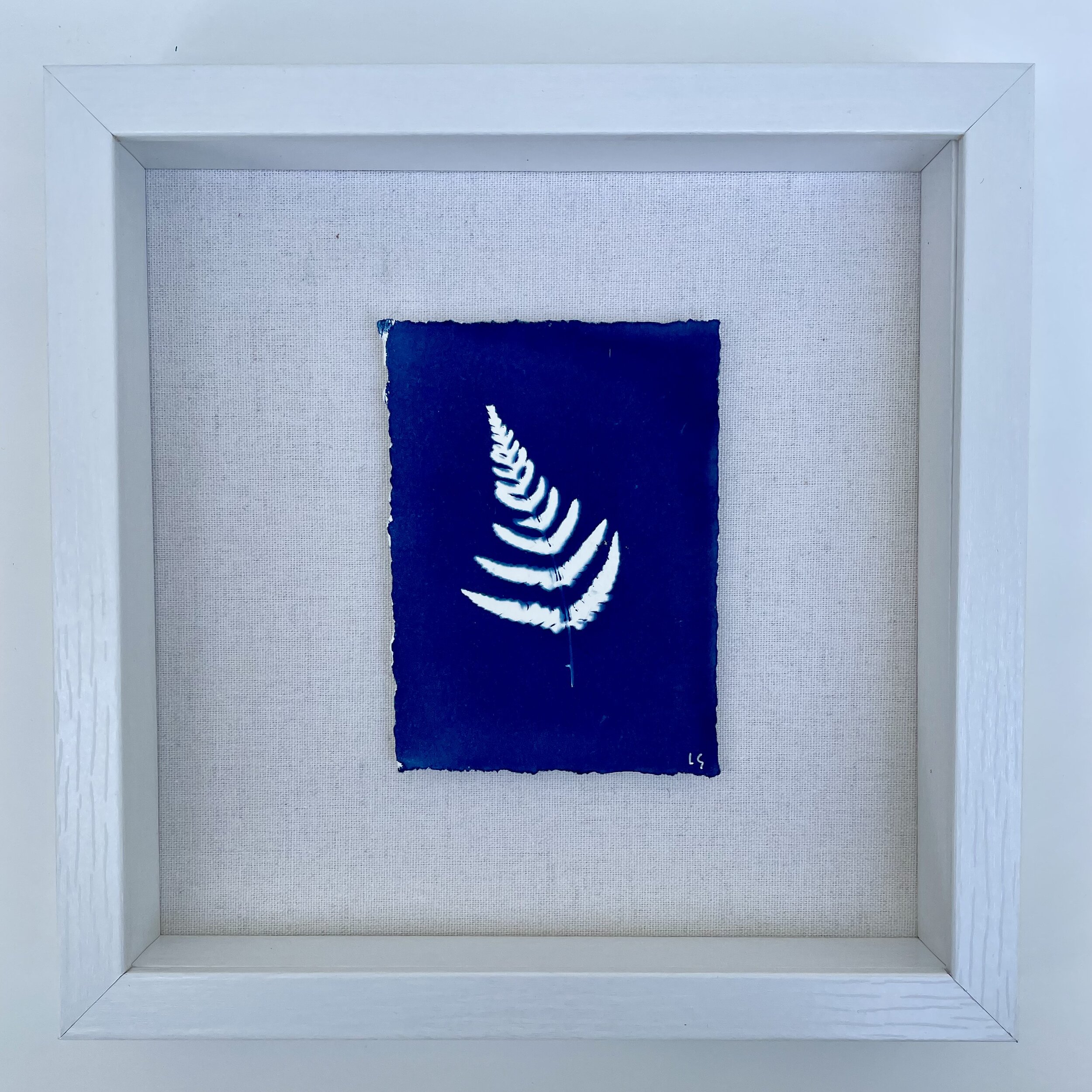 Botanical Fern 2.JPG