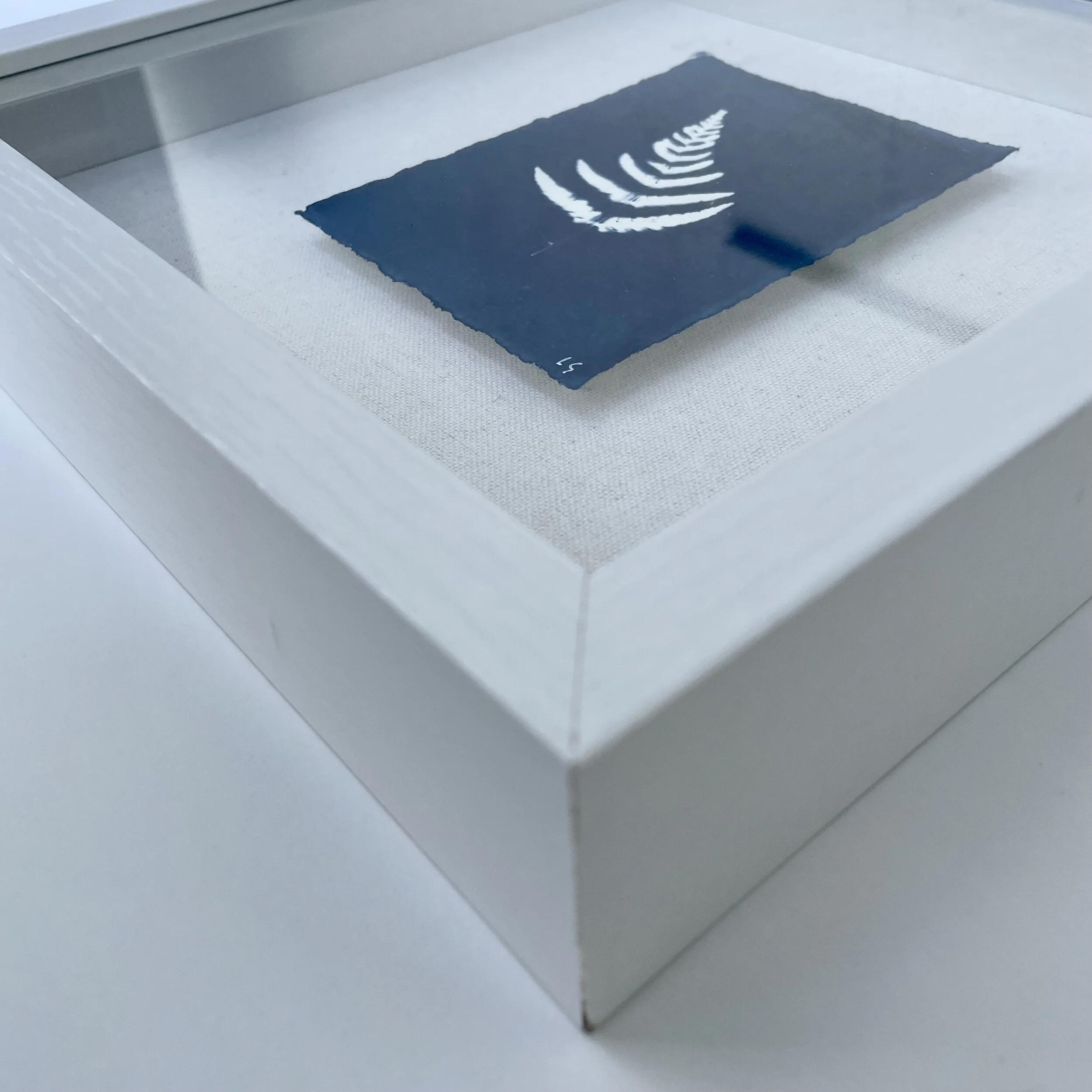 Botanical Collection side.JPG