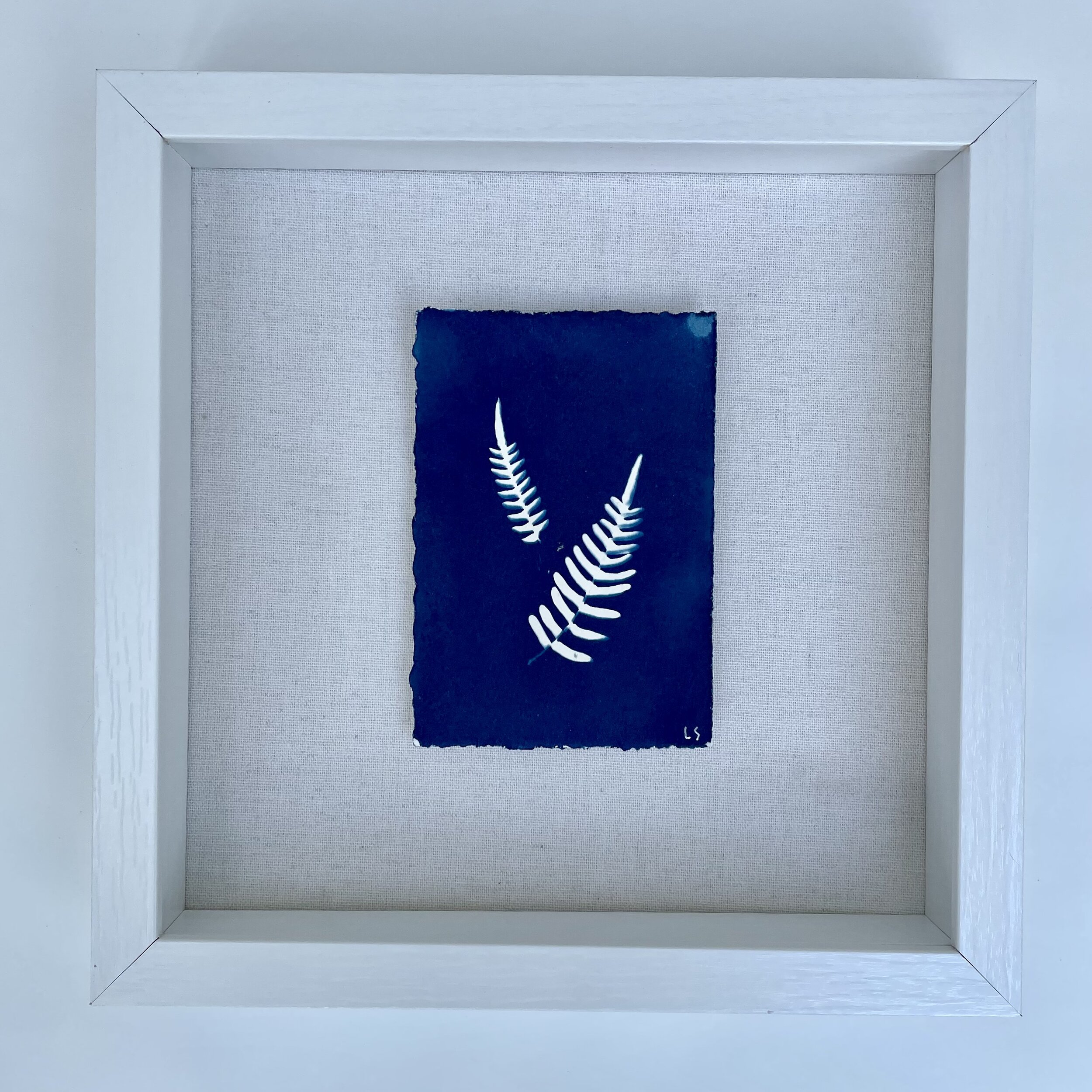 Botanical Double Fern.JPG