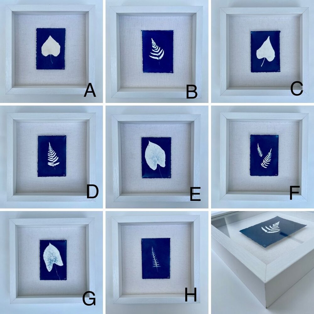Choosing Cyanotype Paper
