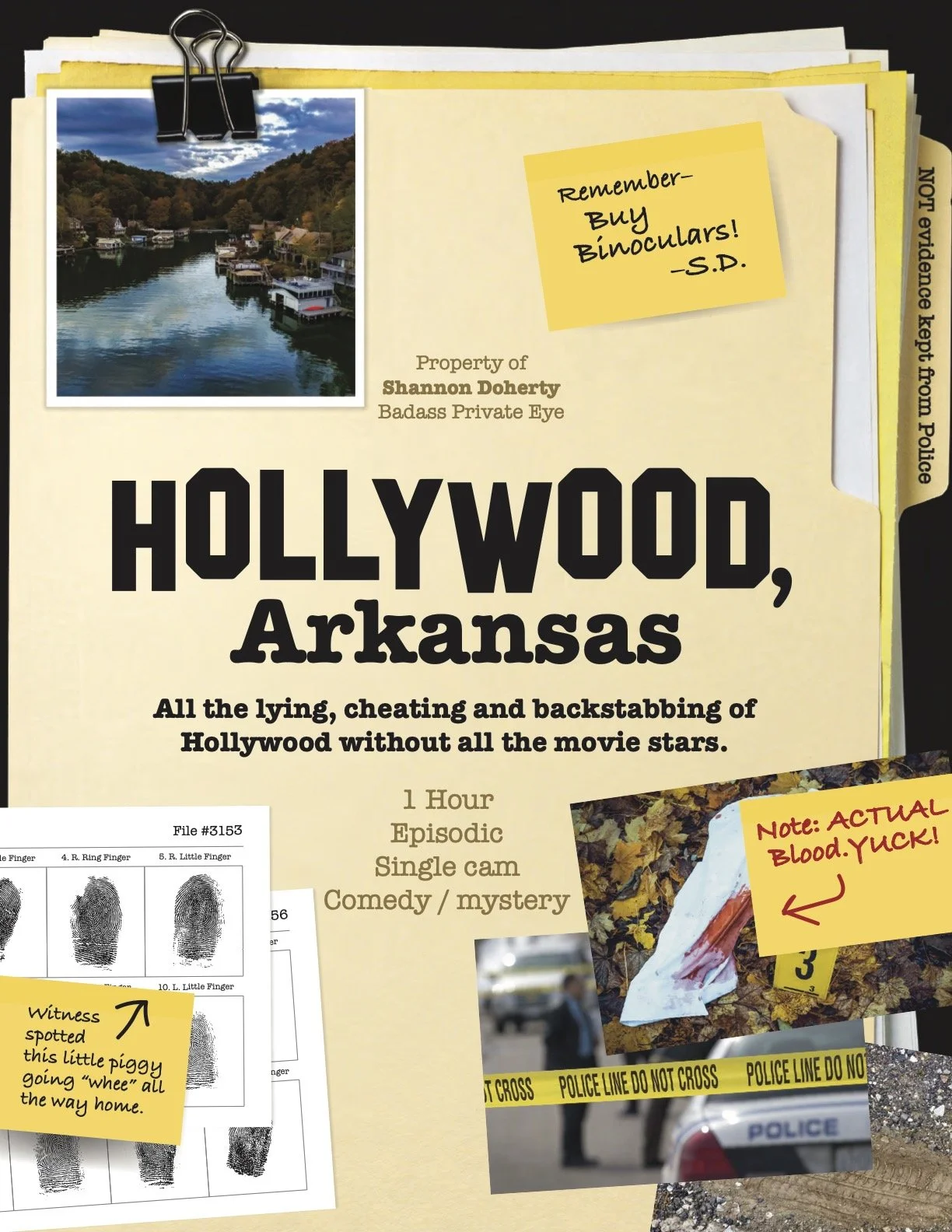 HOLLYWOOD, ARKANSAS PITCH v3 (dragged) 1.jpg