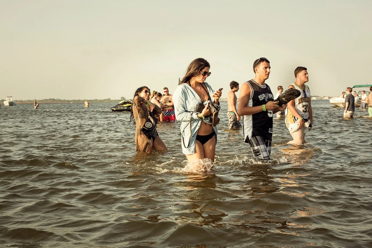 Electric Beach Herd
