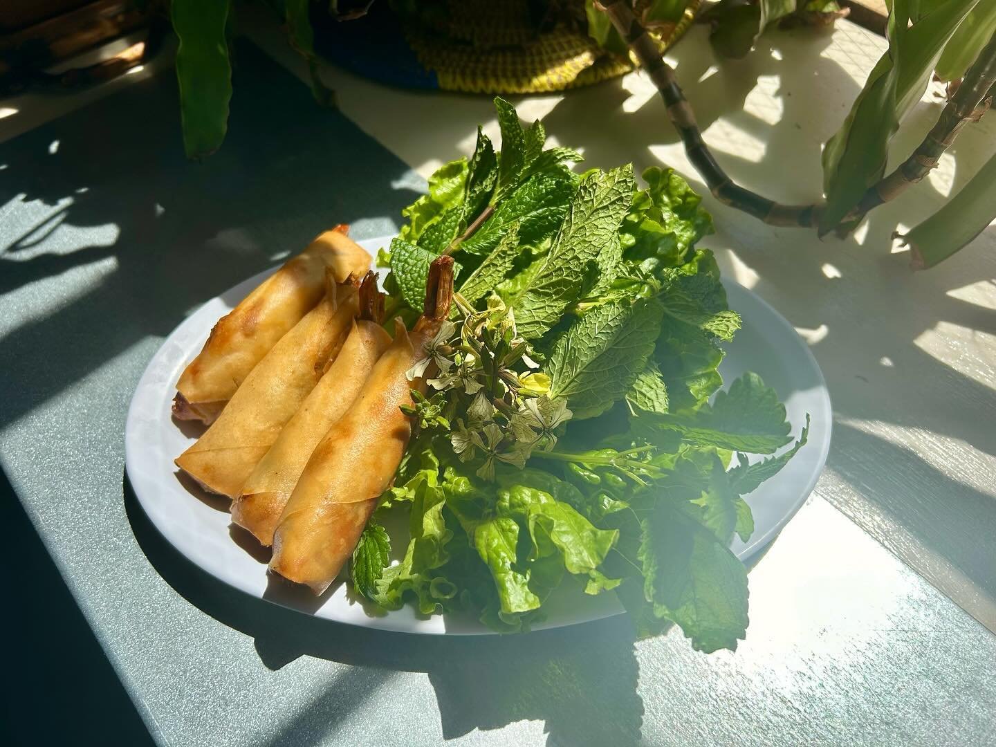 these are the kind of spring rolls that you hypothetically get two orders of, can&rsquo;t finish, tuck into a to-go box for later, leave sitting atop your car while you drive all over bushwick and back, watch fly off the roof and straight onto Myrtle