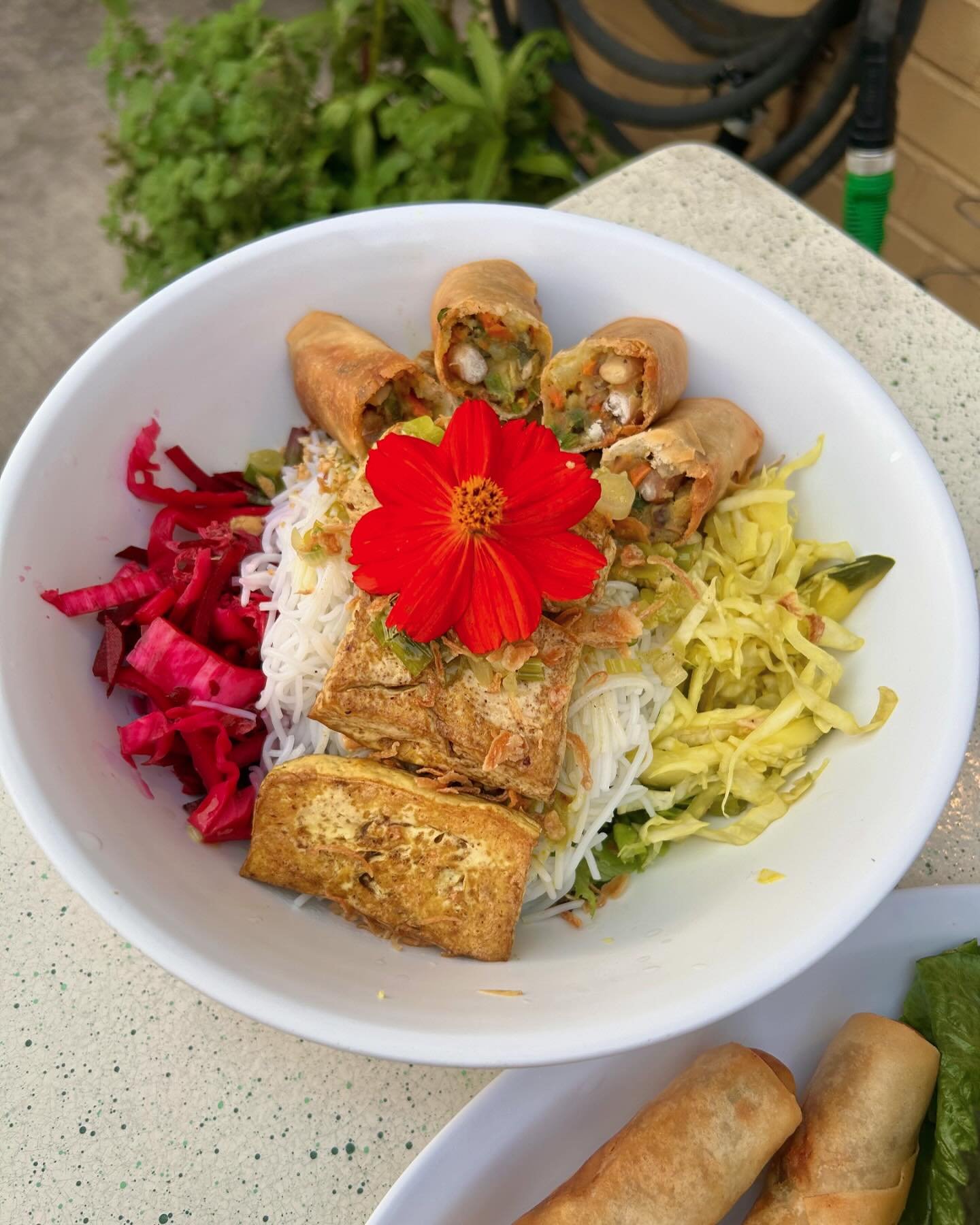 when u vegan (v) and u also a baller (b) who doesn&rsquo;t mess around (but u will mess around with a curry tofu b&uacute;n with vegan spring rolls)