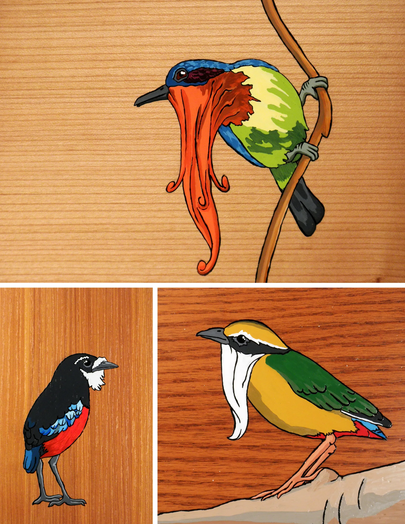 birds1.jpg